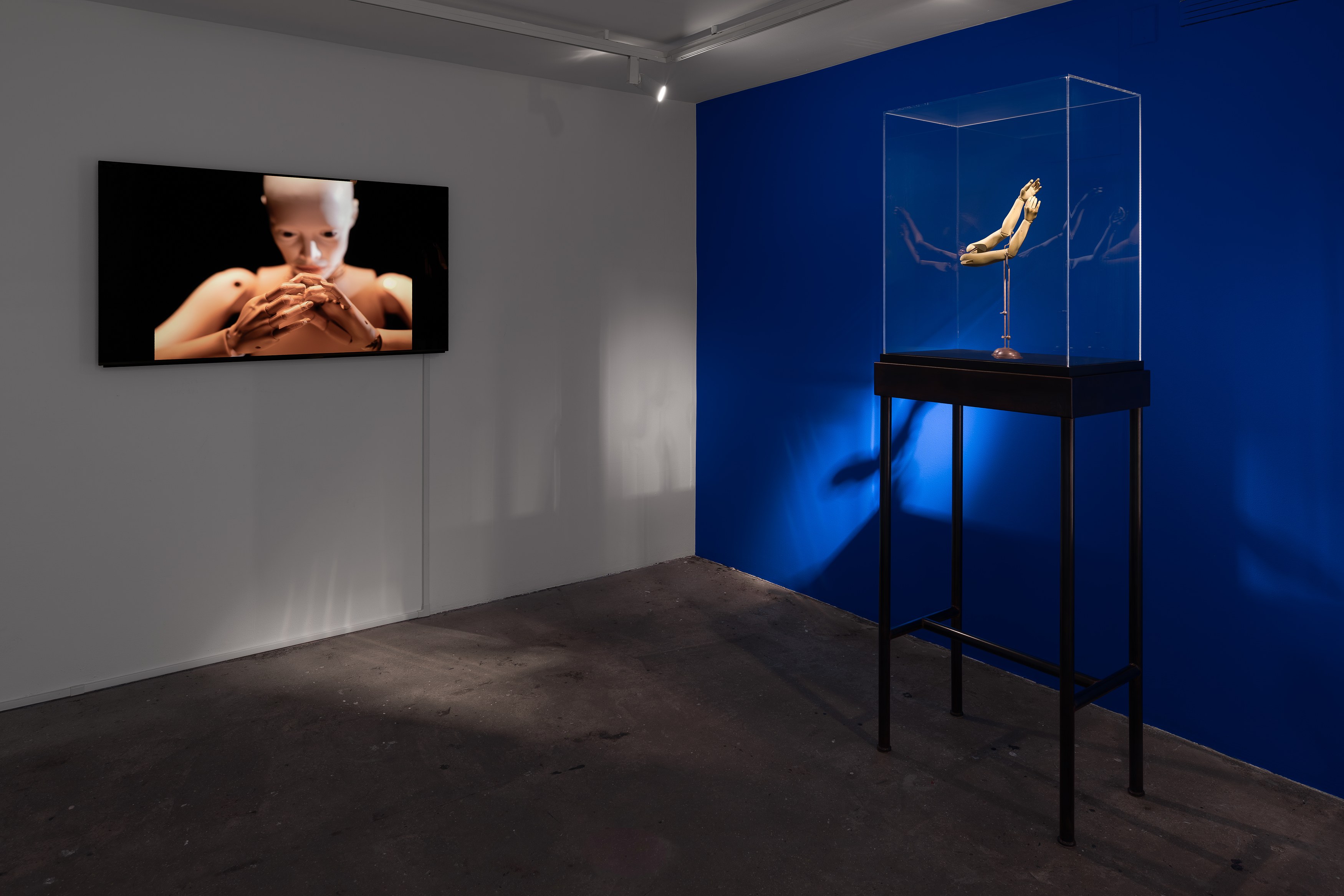 Louise Bonnet, Elizabeth King, De Anima at Swiss Institute, photo 18