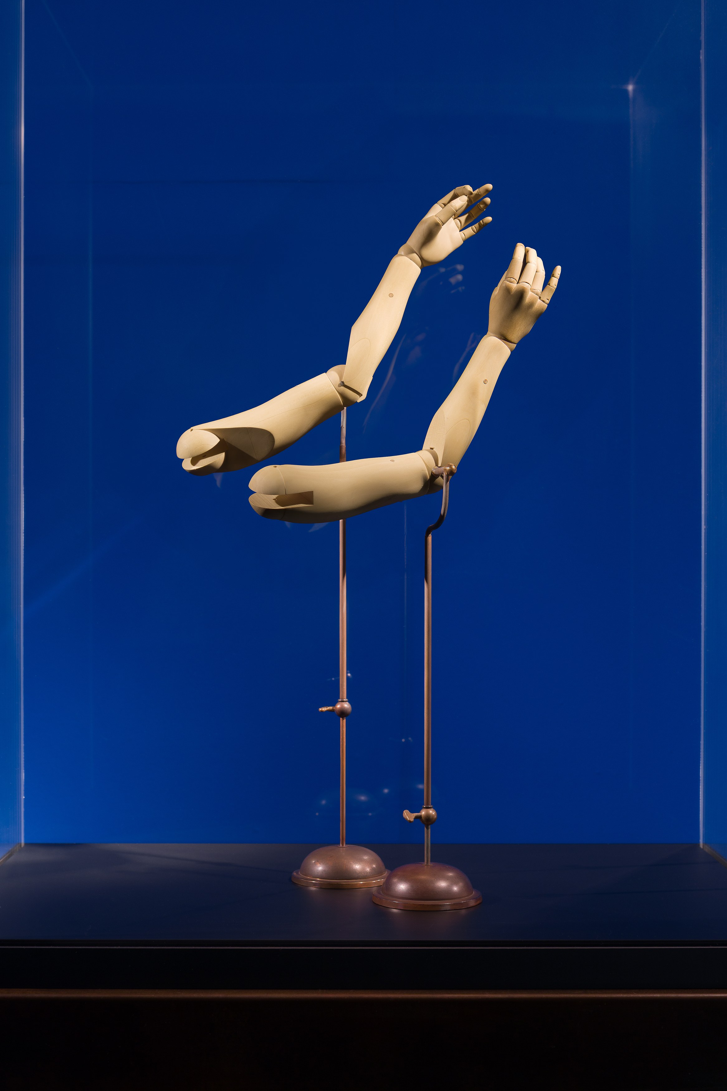 Louise Bonnet, Elizabeth King, De Anima at Swiss Institute, photo 19