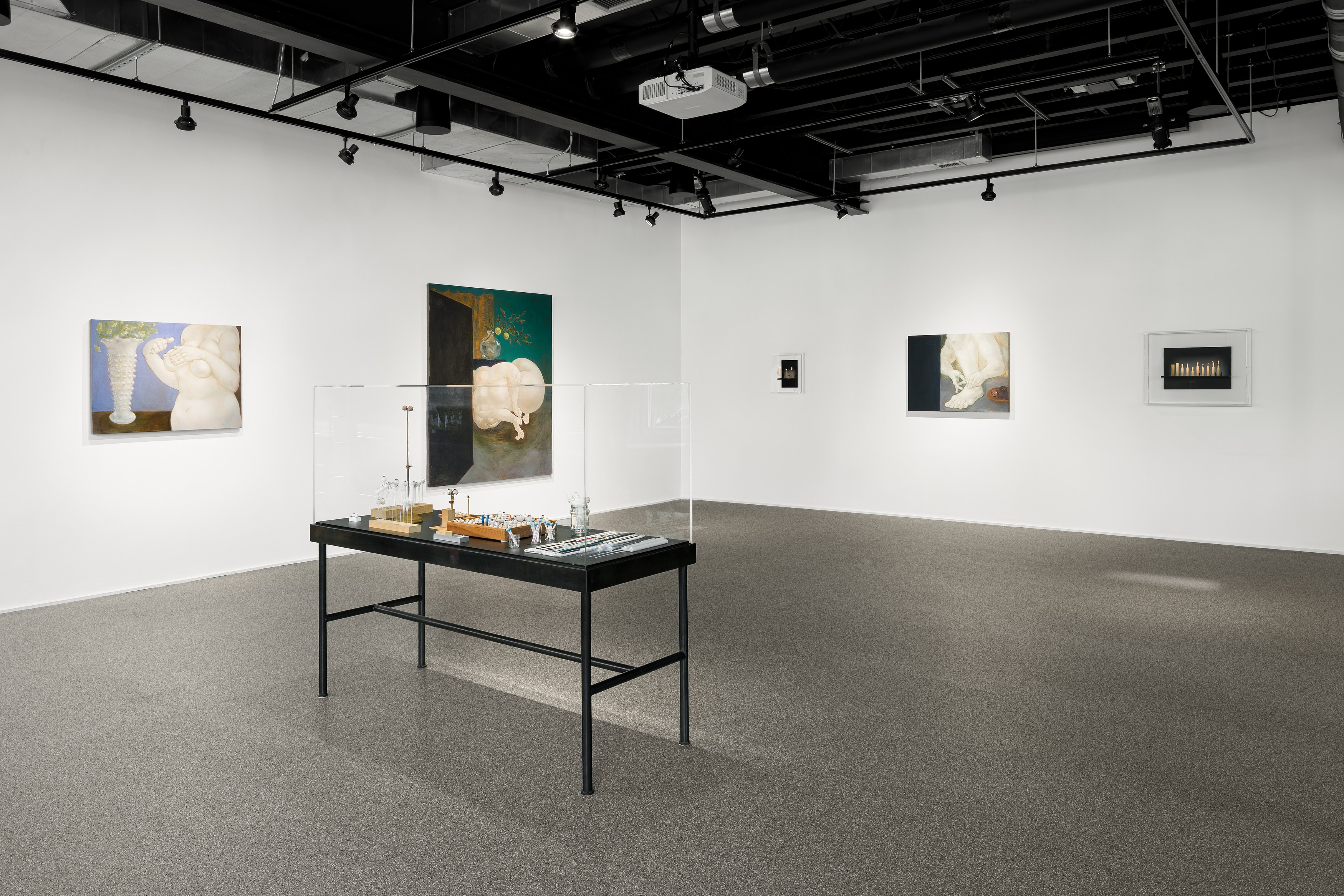 Louise Bonnet, Elizabeth King, De Anima at Swiss Institute, photo 20