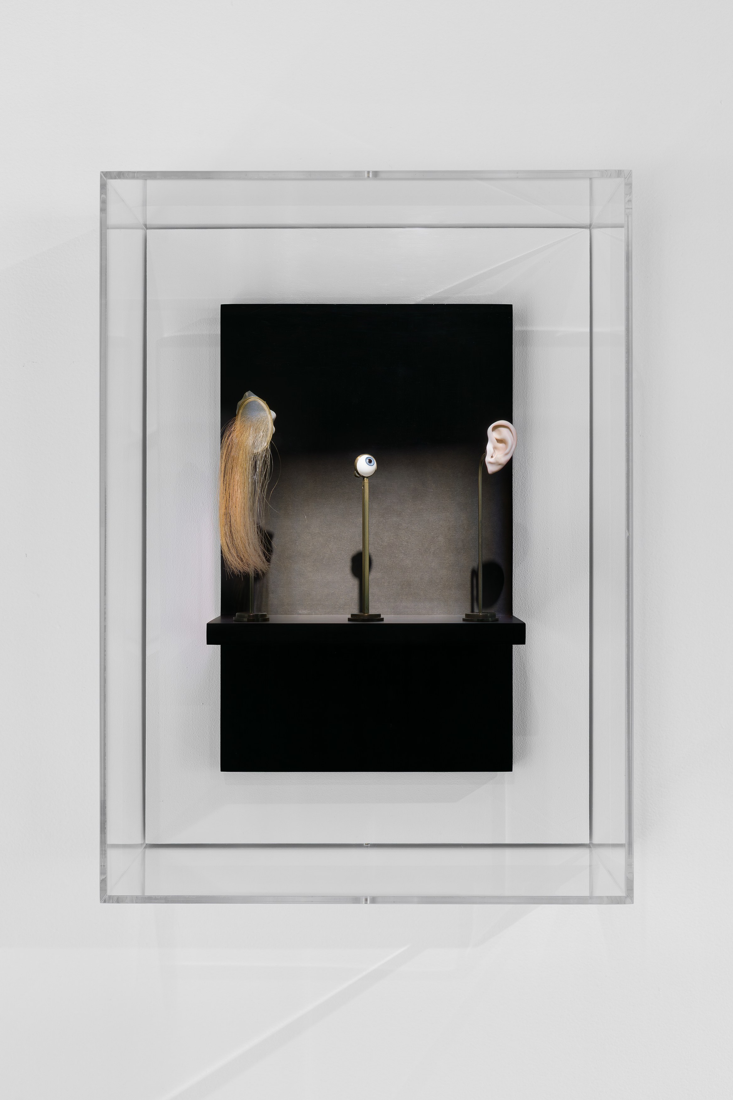 Louise Bonnet, Elizabeth King, De Anima at Swiss Institute, photo 24