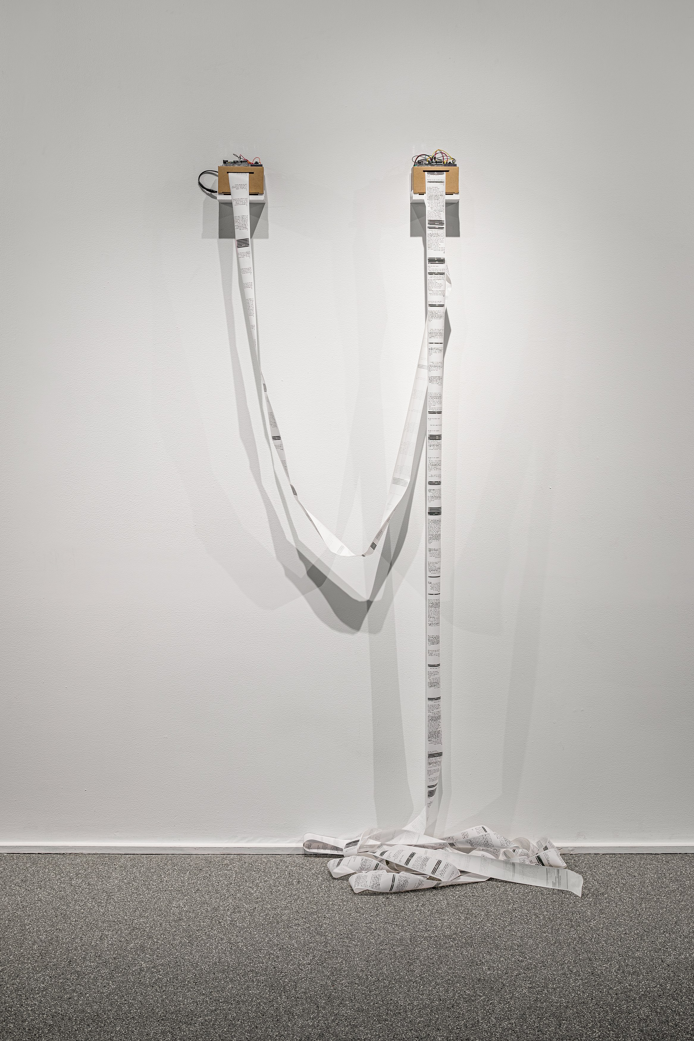 Nolan Oswald Dennis, overturns at Swiss Institute, photo 19