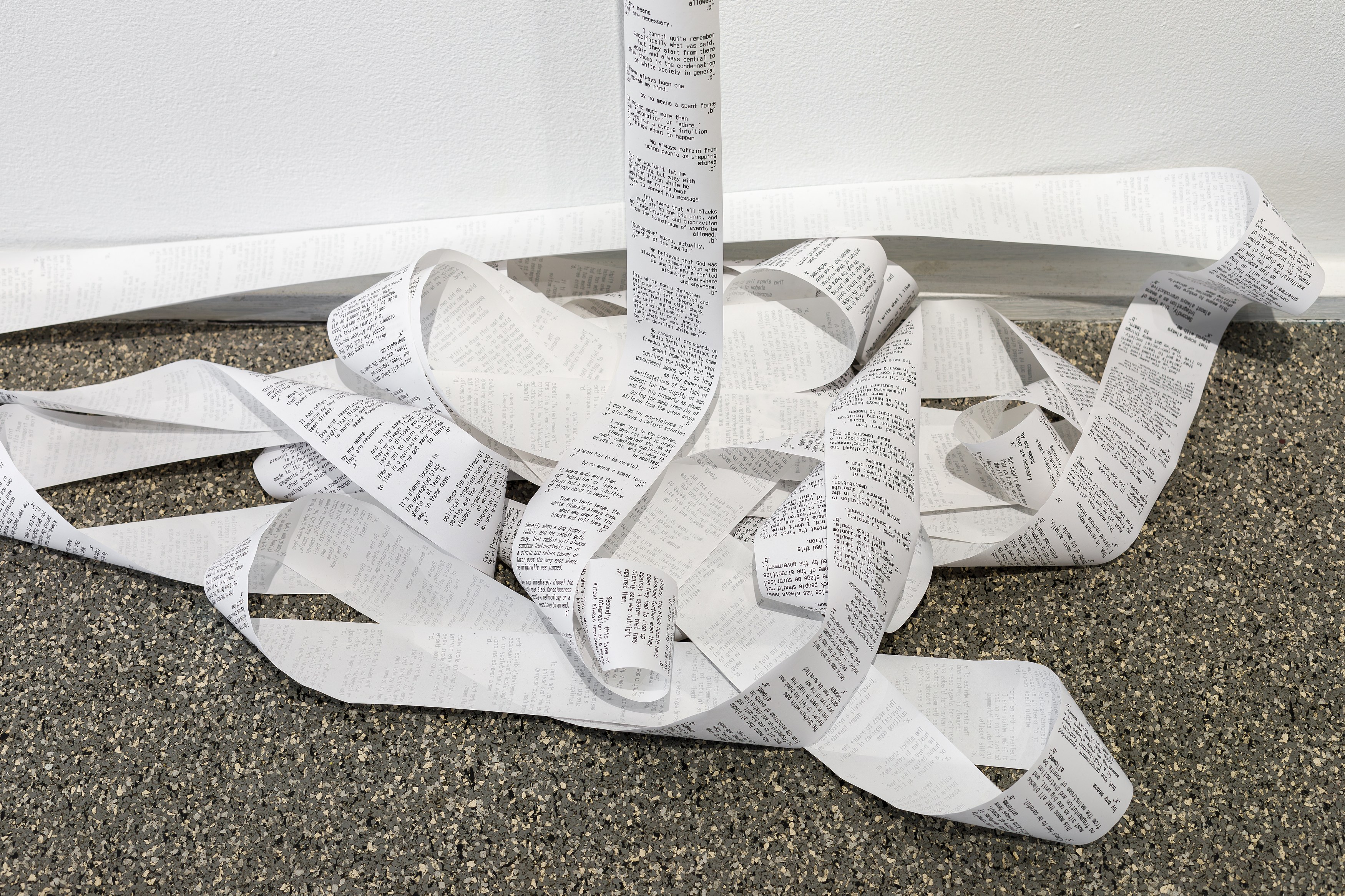 Nolan Oswald Dennis, overturns at Swiss Institute, photo 21