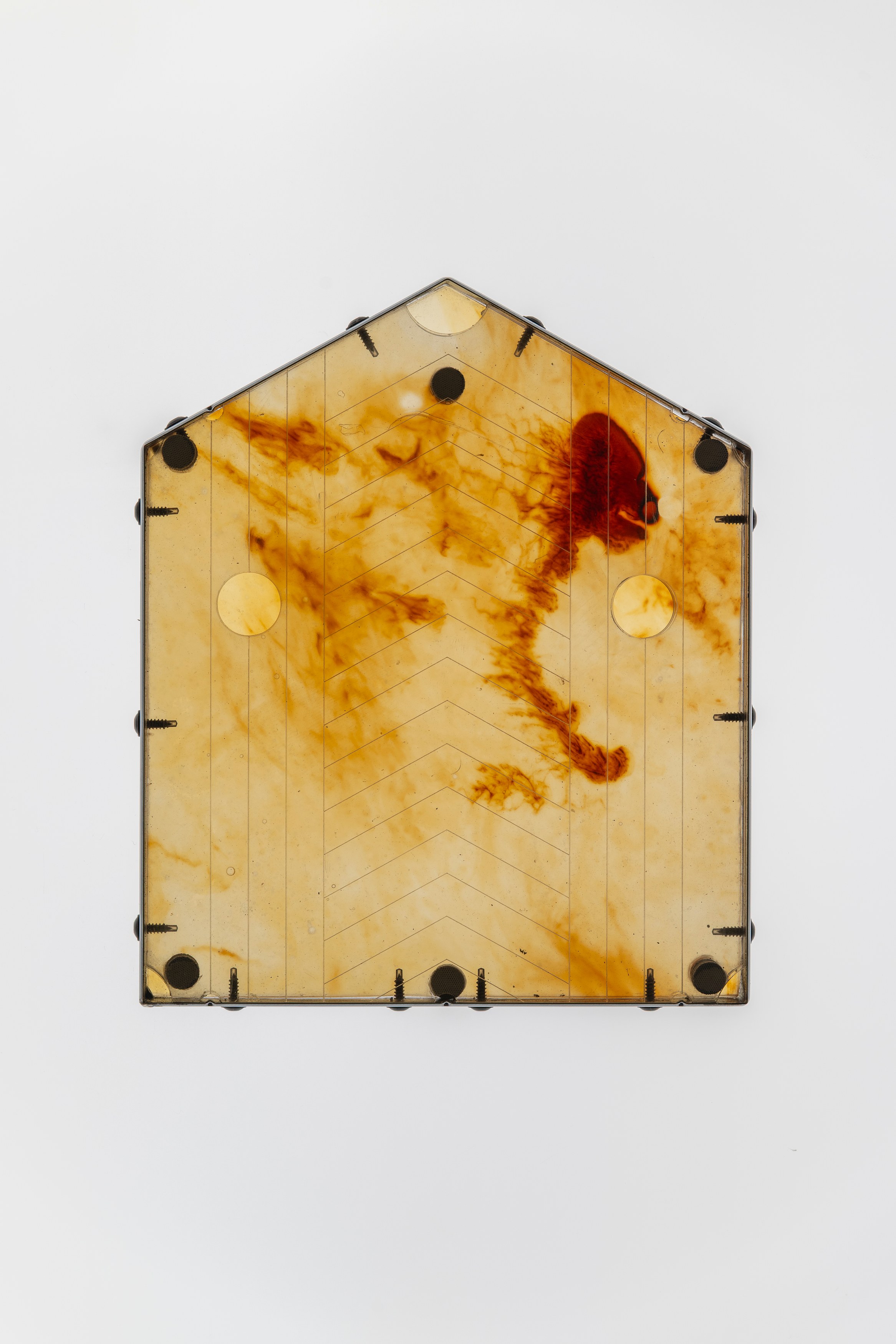 Ruoru Mou, Fortunate at Cell Project Space, photo 7