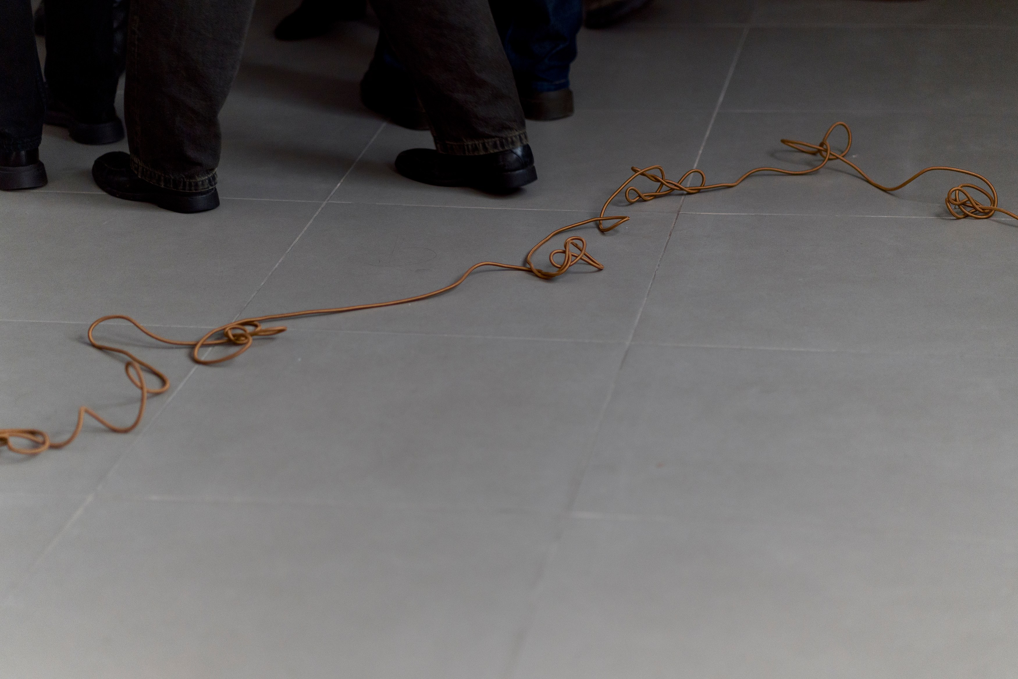 Ruoru Mou, Fortunate at Cell Project Space, photo 17