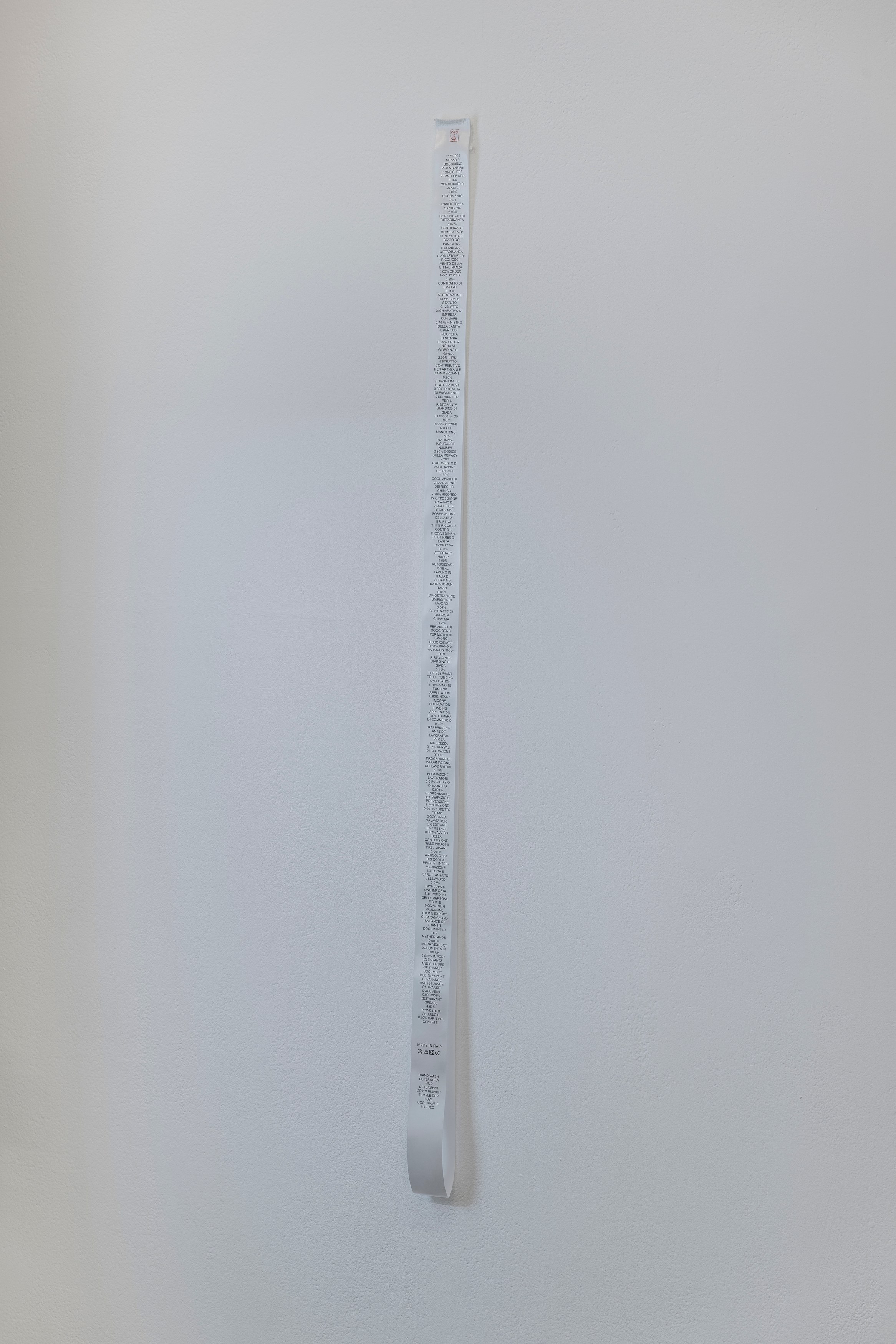 Ruoru Mou, Fortunate at Cell Project Space, photo 19