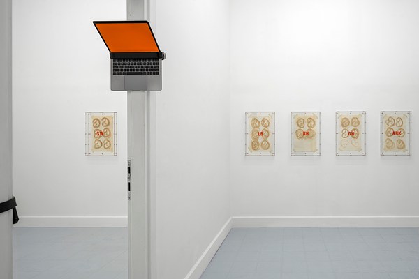 David Moser at zaza', Naples | Contemporary Art Library