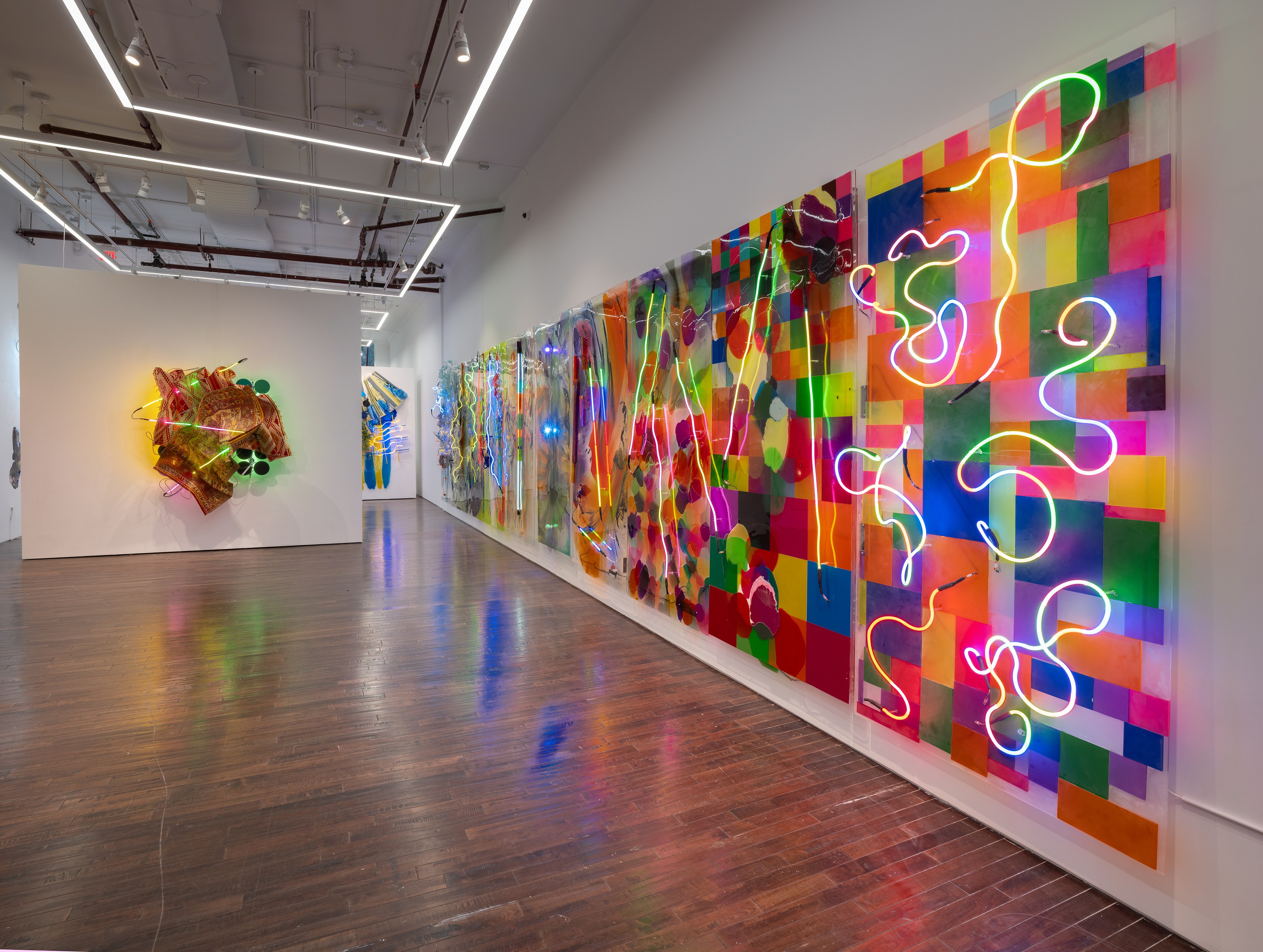 Judy Pfaff, image 2 of 25