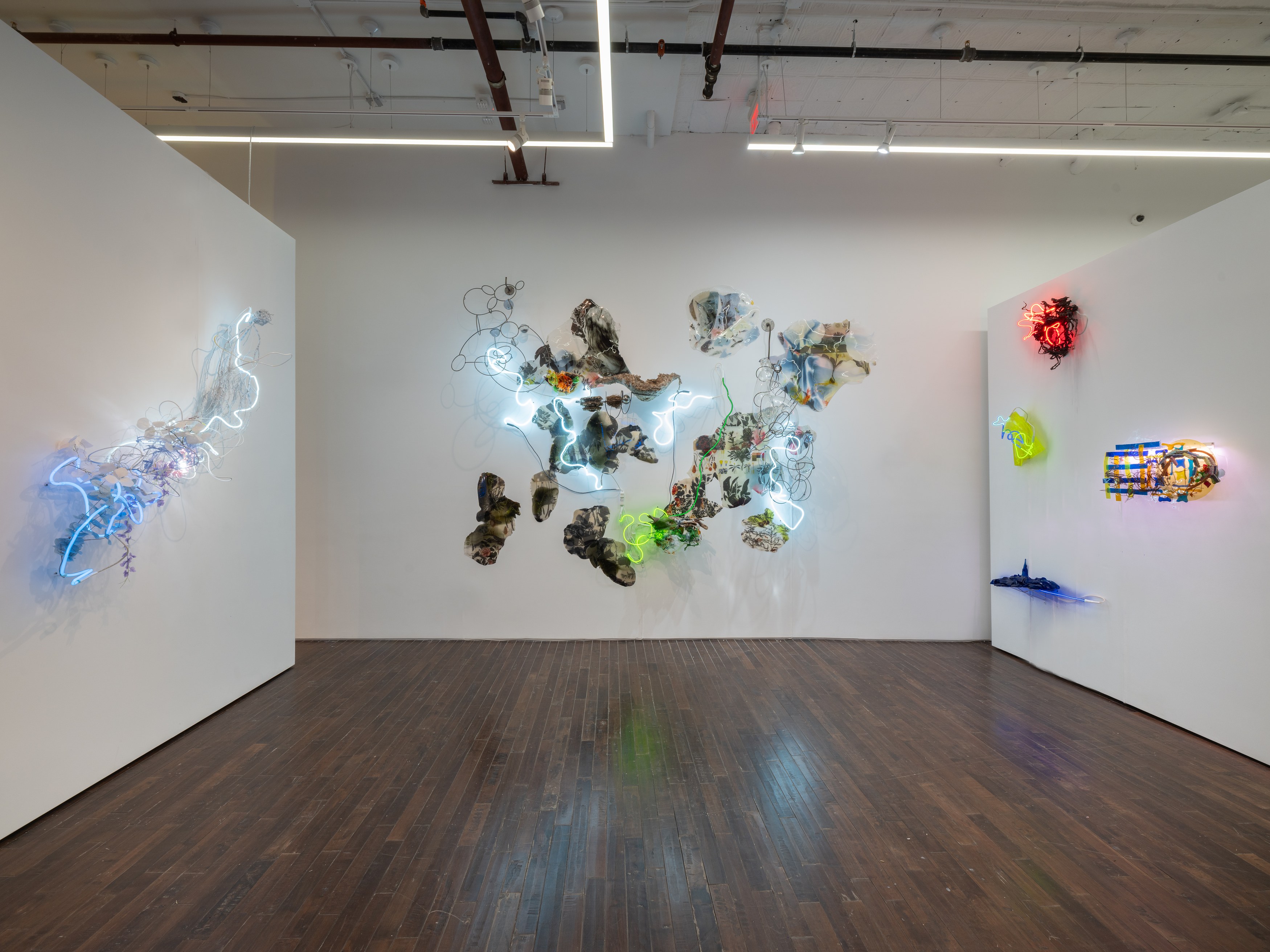 Judy Pfaff, image 7 of 25