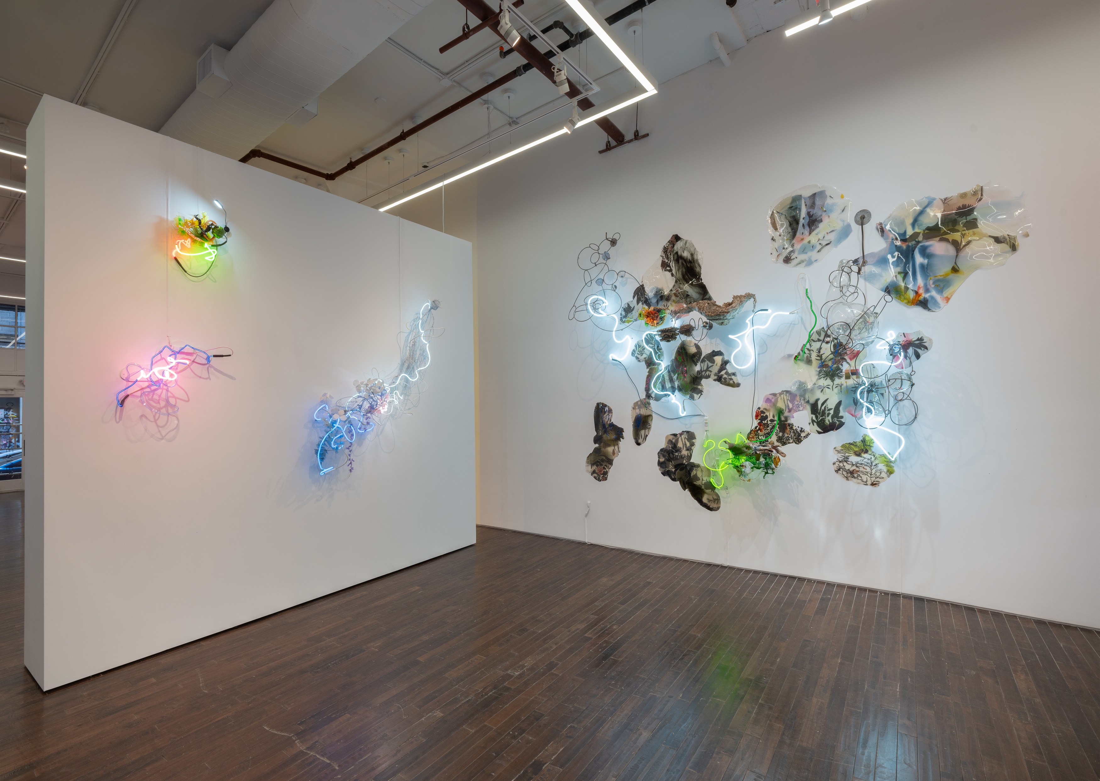 Judy Pfaff, image 8 of 25