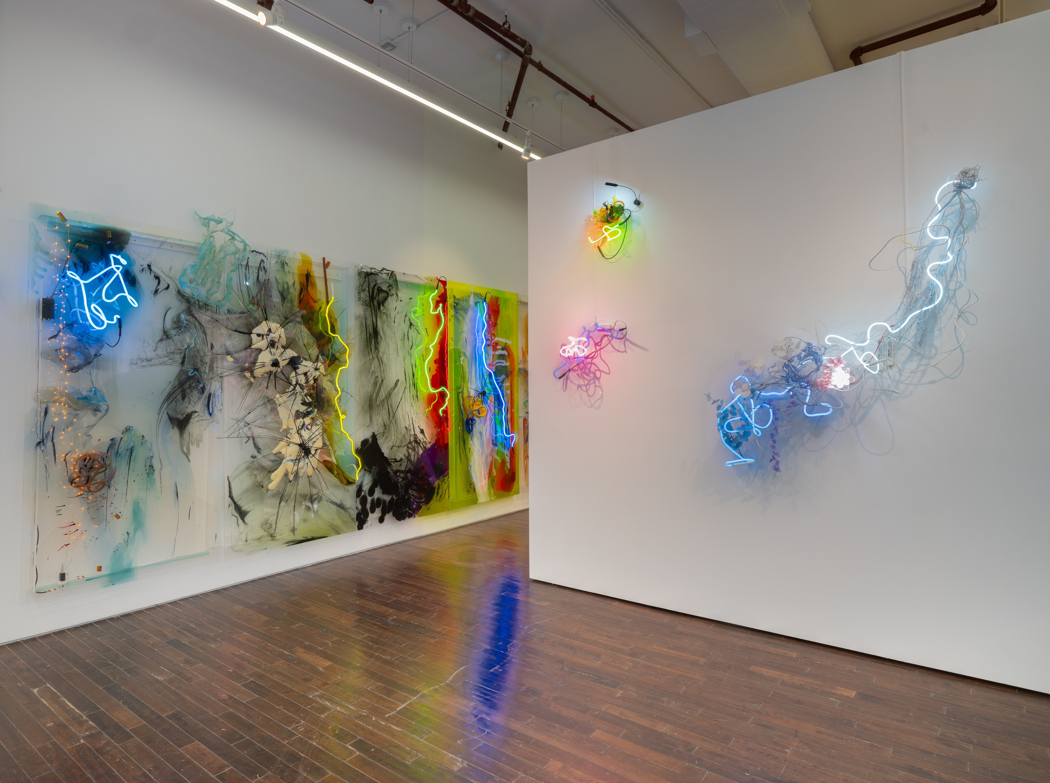 Judy Pfaff, image 9 of 25