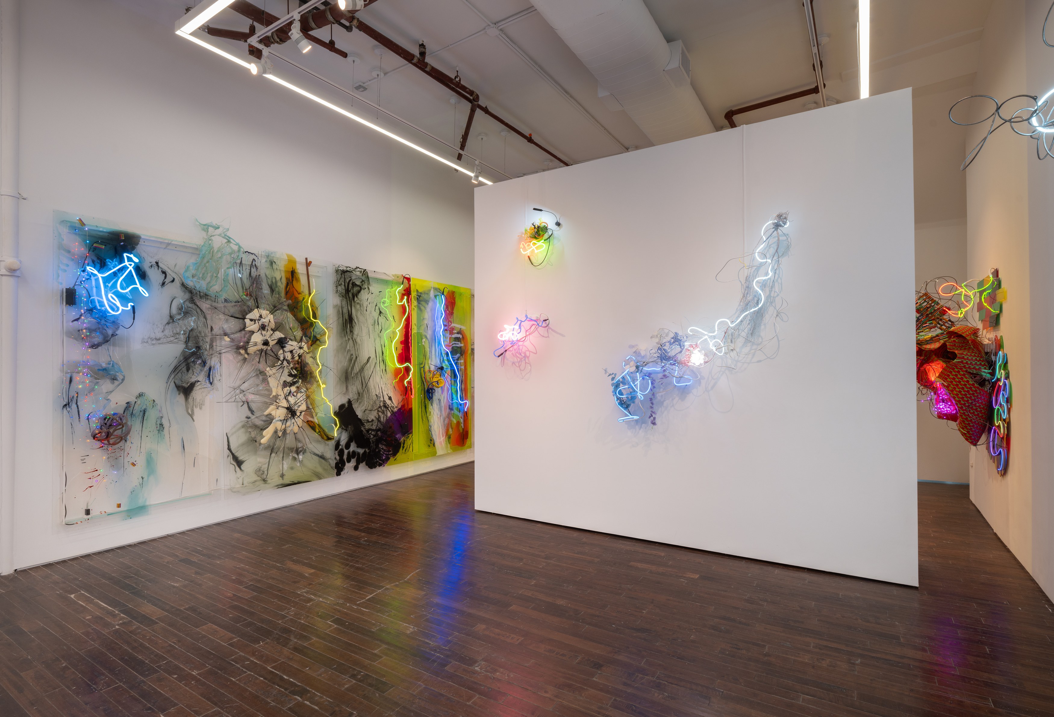 Judy Pfaff, image 10 of 25