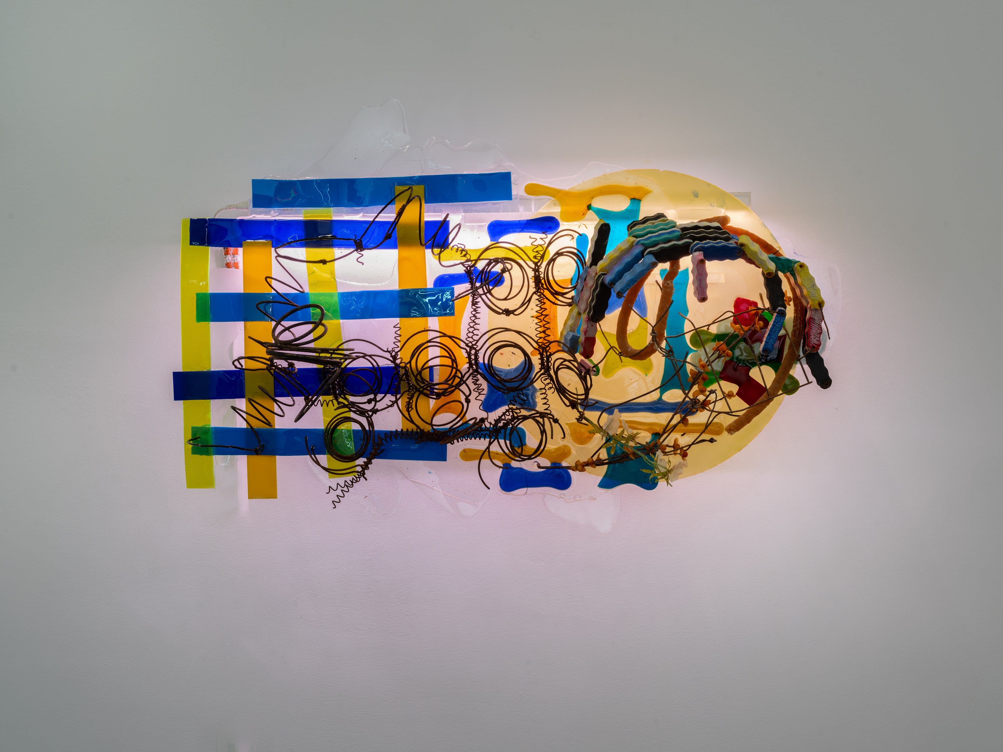Judy Pfaff, image 18 of 25