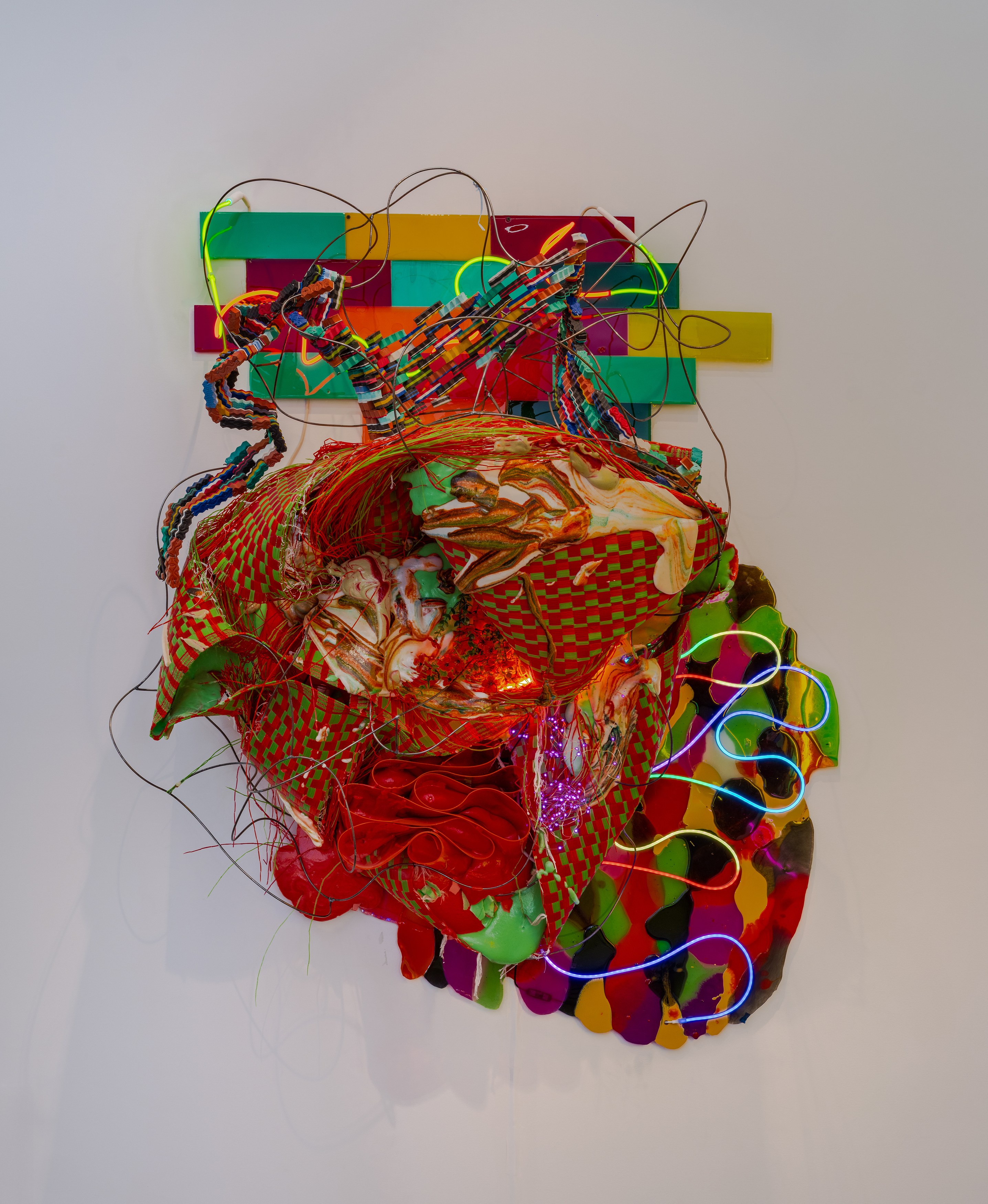 Judy Pfaff, image 16 of 25