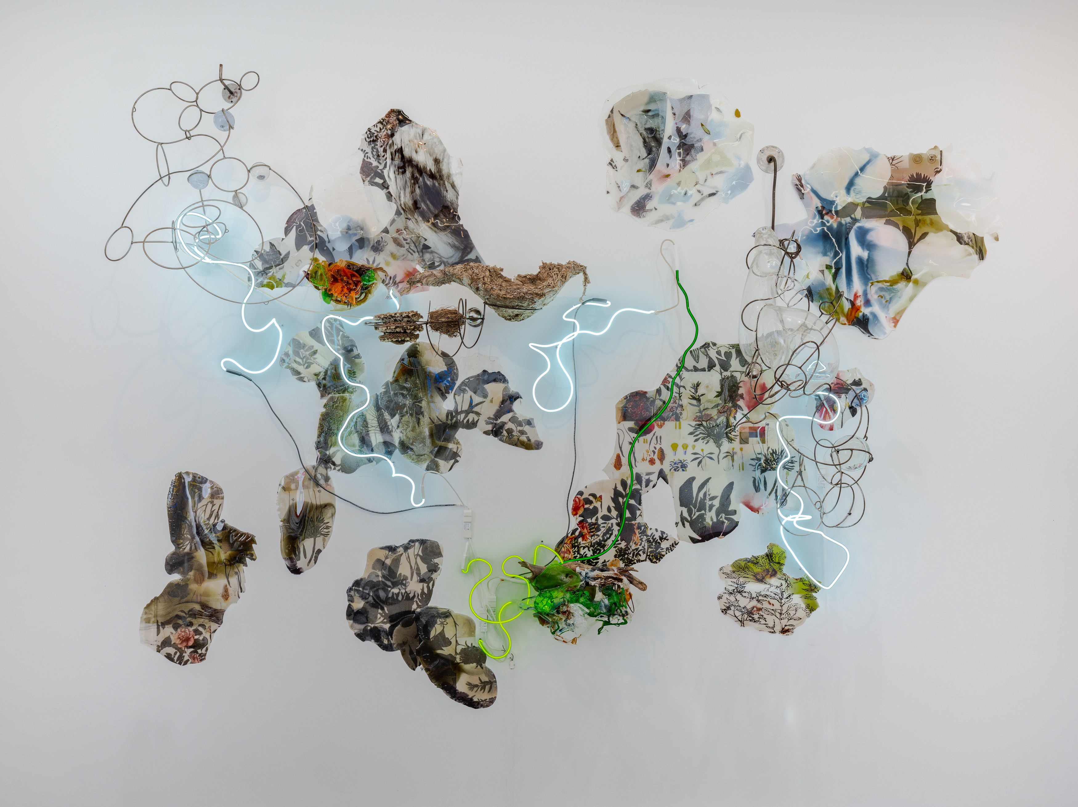 Judy Pfaff, image 20 of 25