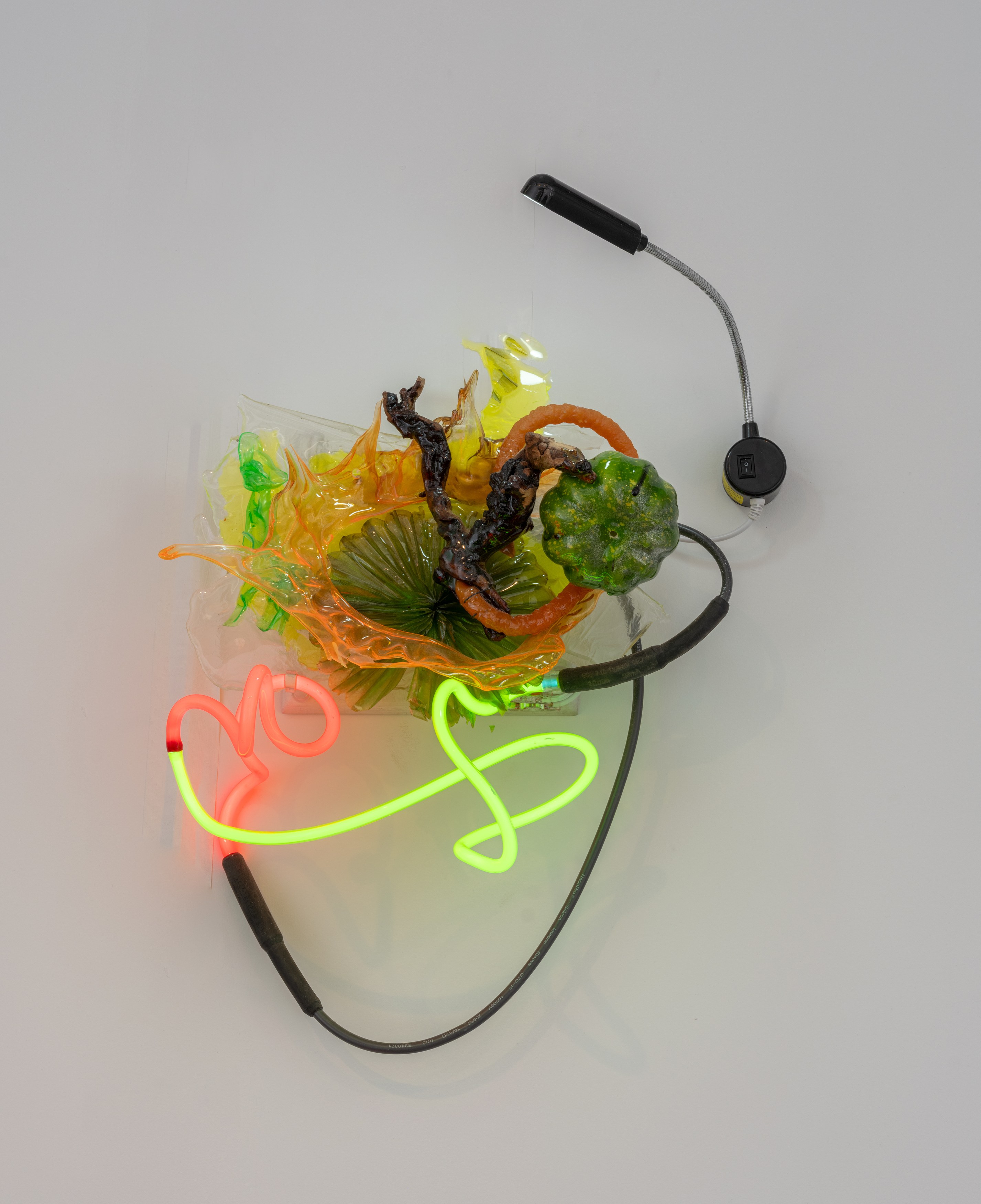 Judy Pfaff, image 21 of 25