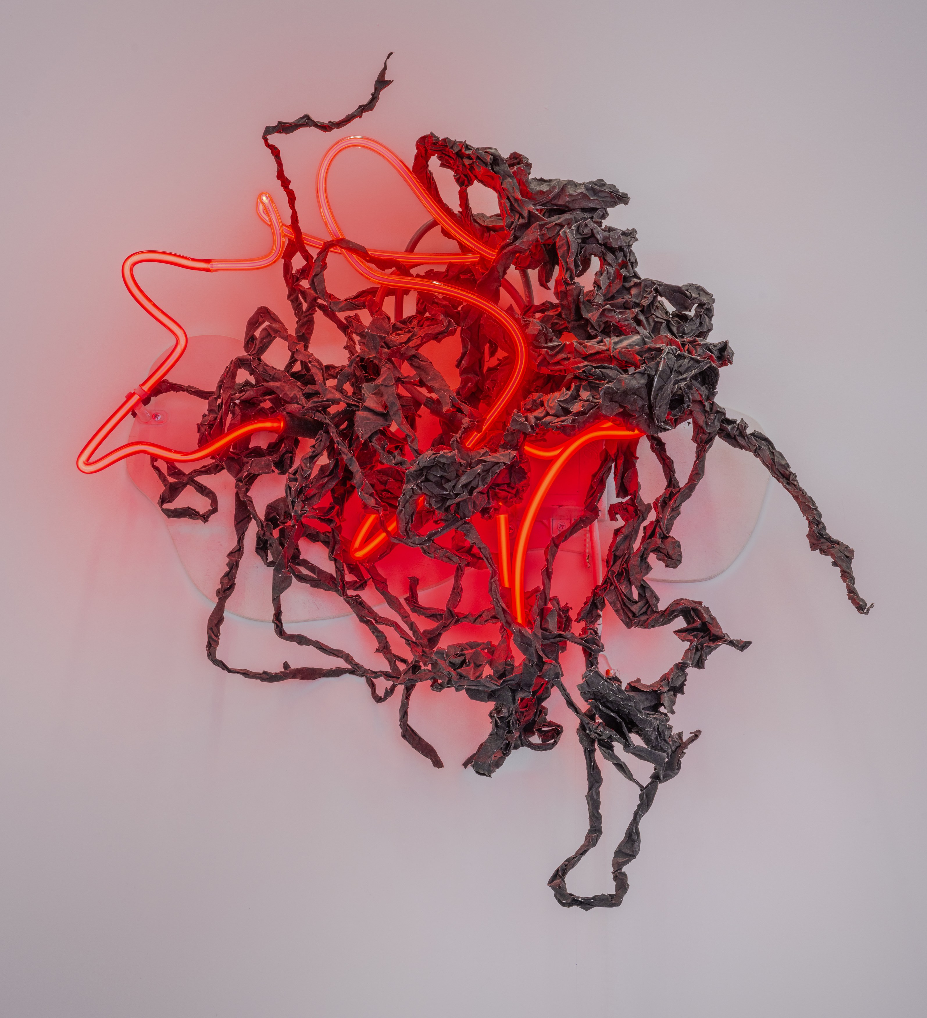 Judy Pfaff, image 24 of 25