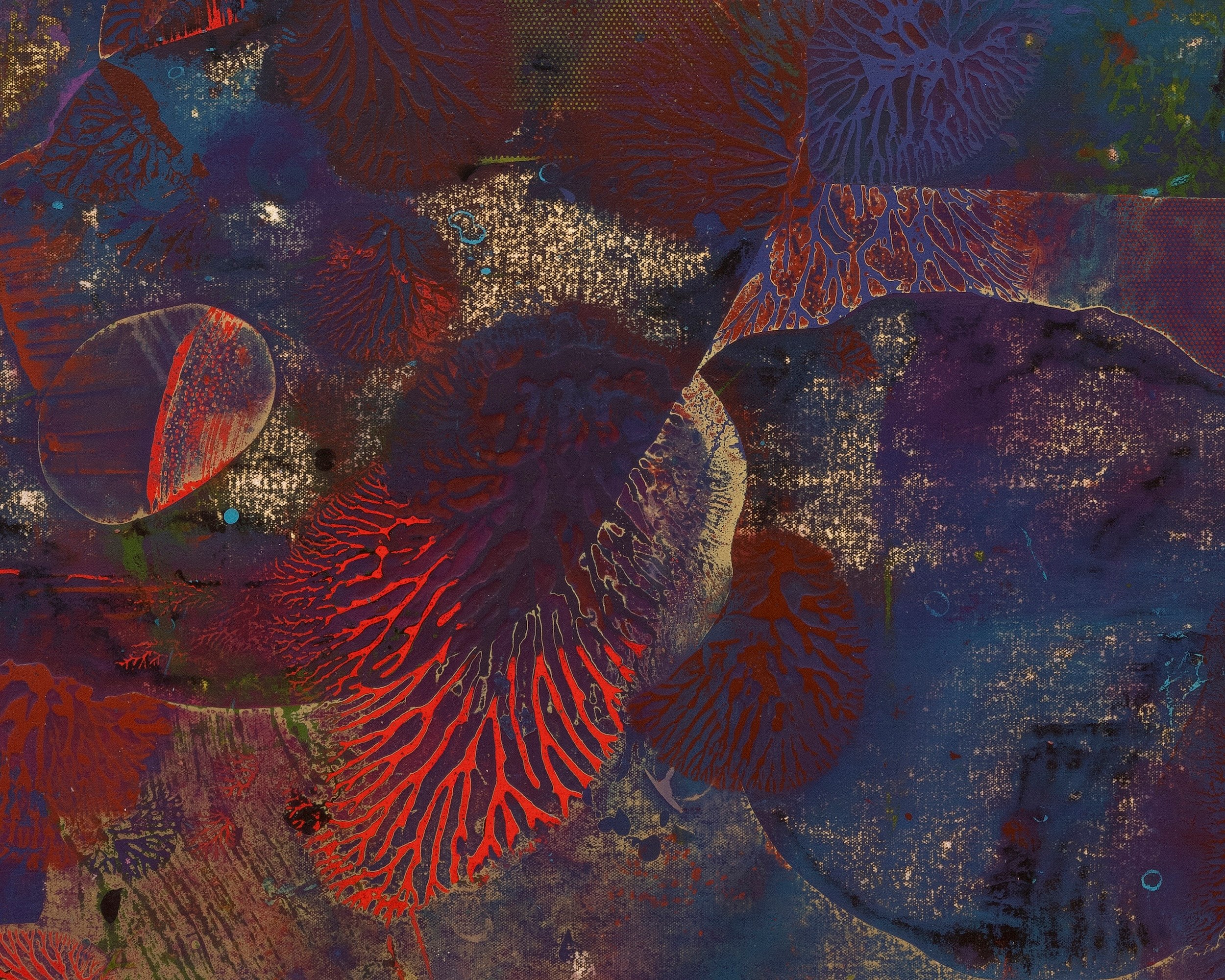 Jameson Magrogan, During an Eternity at RAINRAIN, photo 11