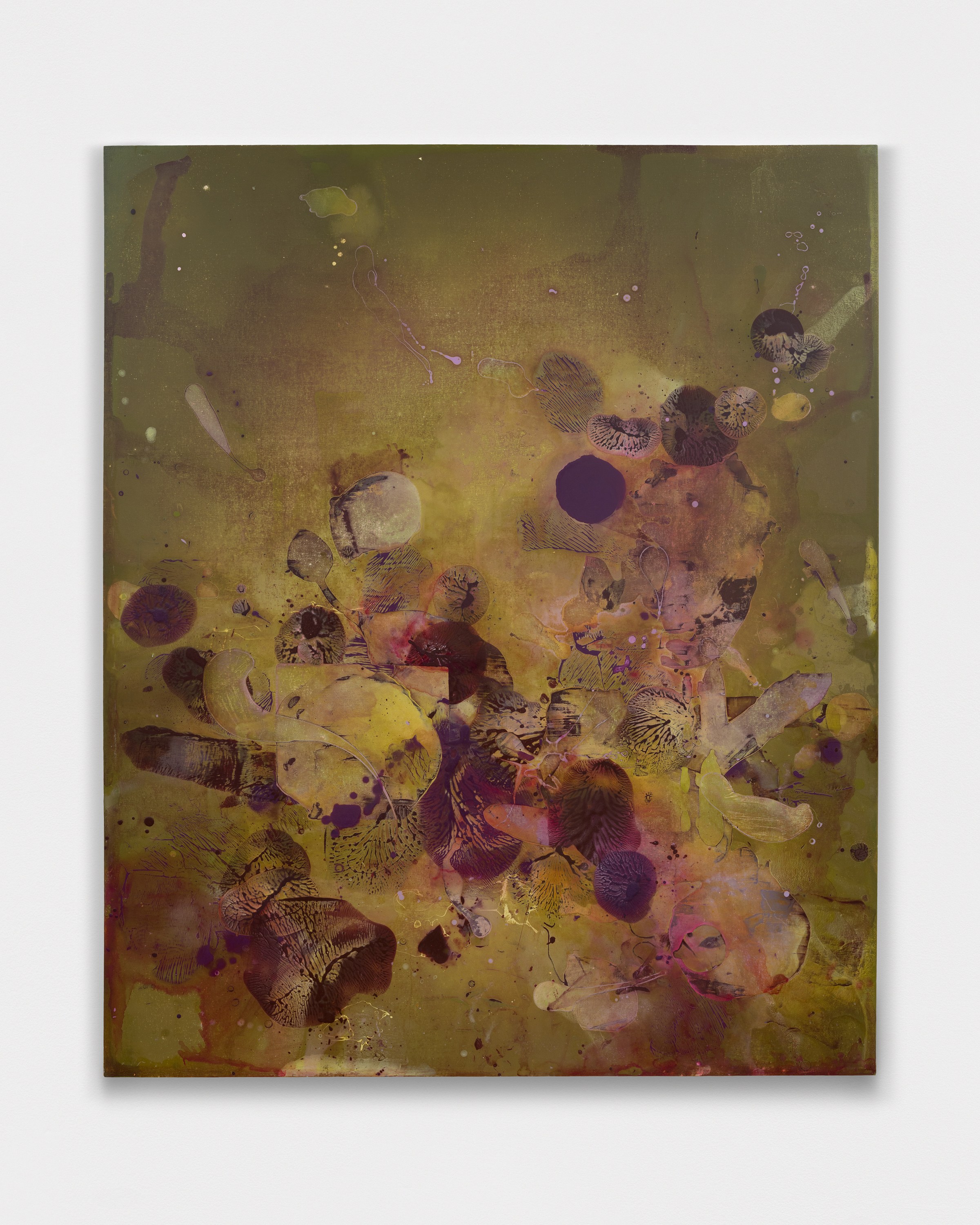 Jameson Magrogan, During an Eternity at RAINRAIN, photo 8