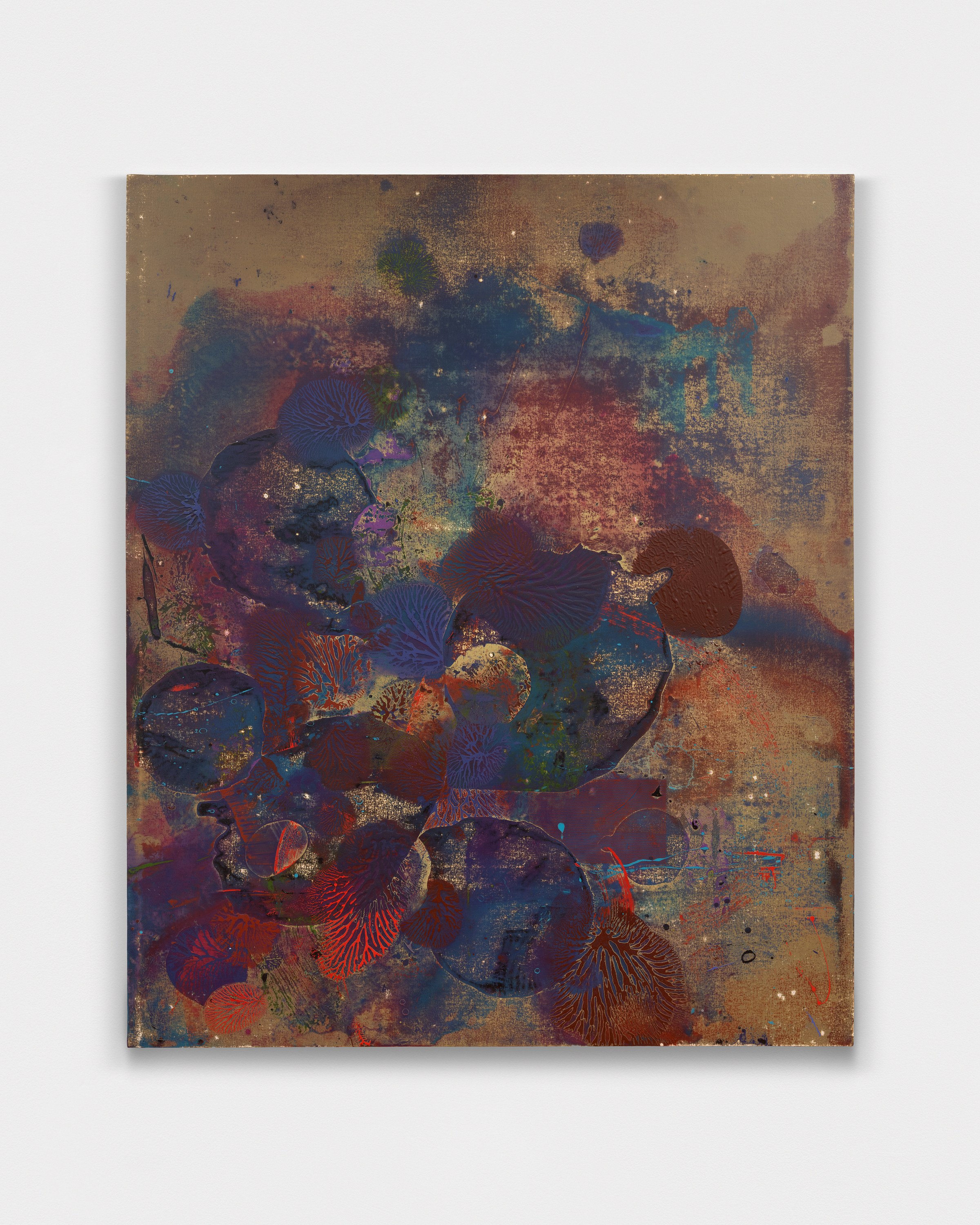 Jameson Magrogan, During an Eternity at RAINRAIN, photo 10