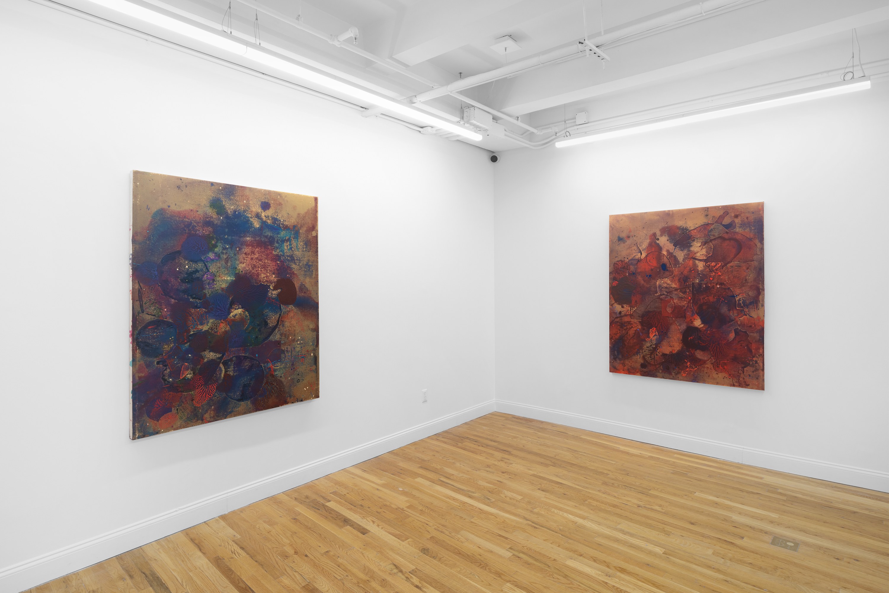 Jameson Magrogan, During an Eternity at RAINRAIN, photo 3