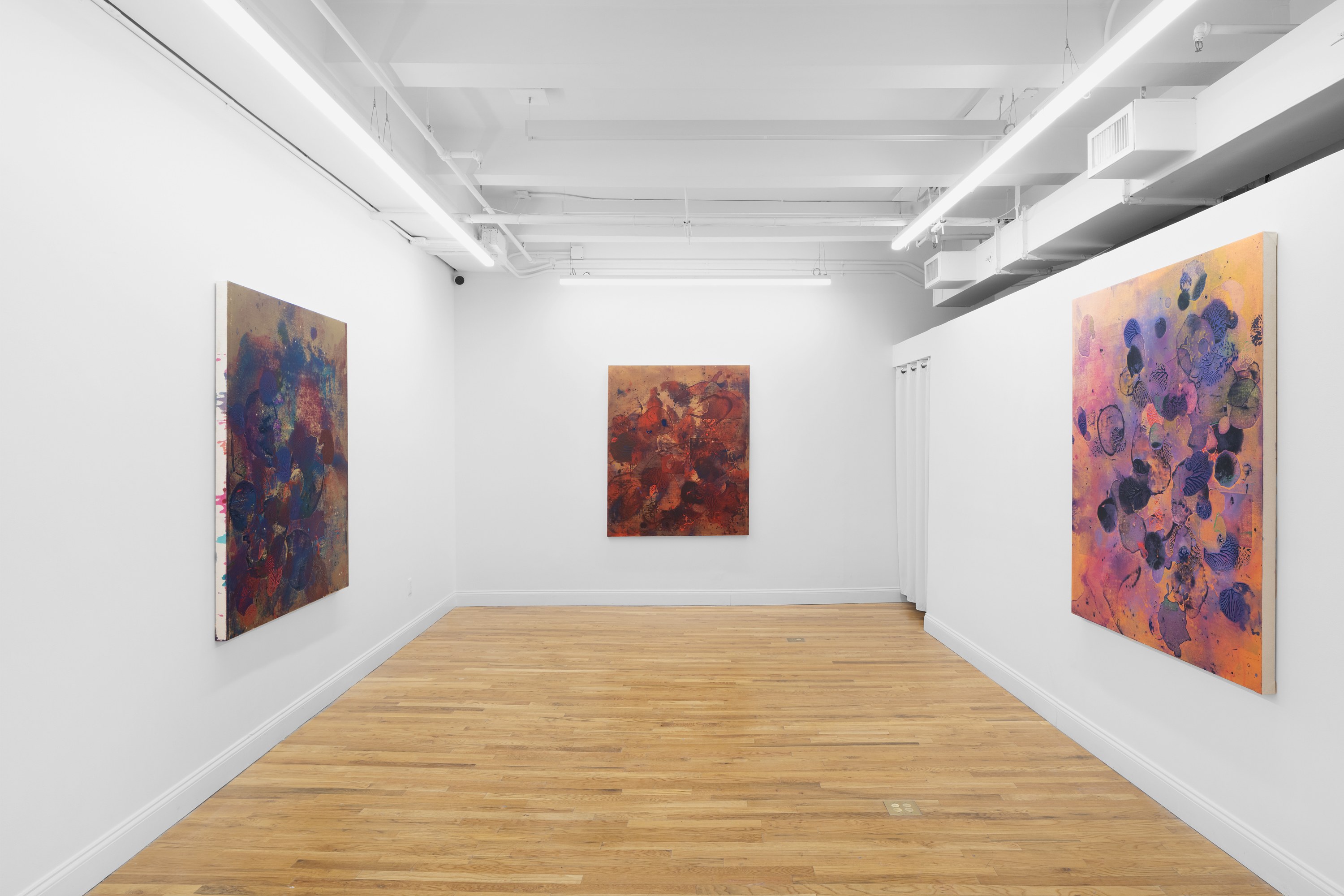 Jameson Magrogan, During an Eternity at RAINRAIN, photo 2