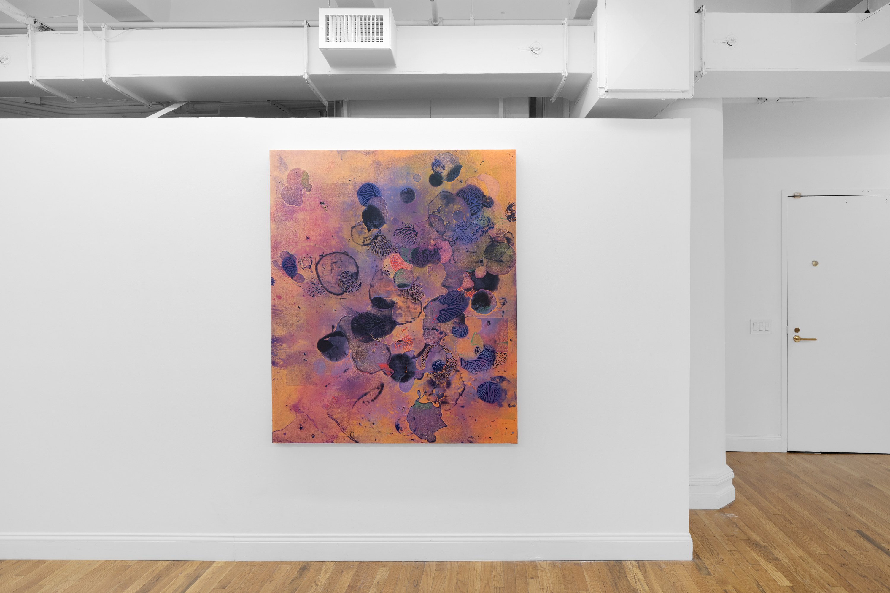 Jameson Magrogan, During an Eternity at RAINRAIN, photo 5