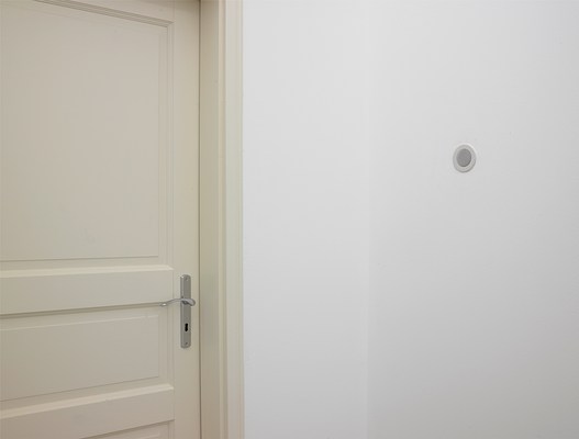 Image 25 of 39