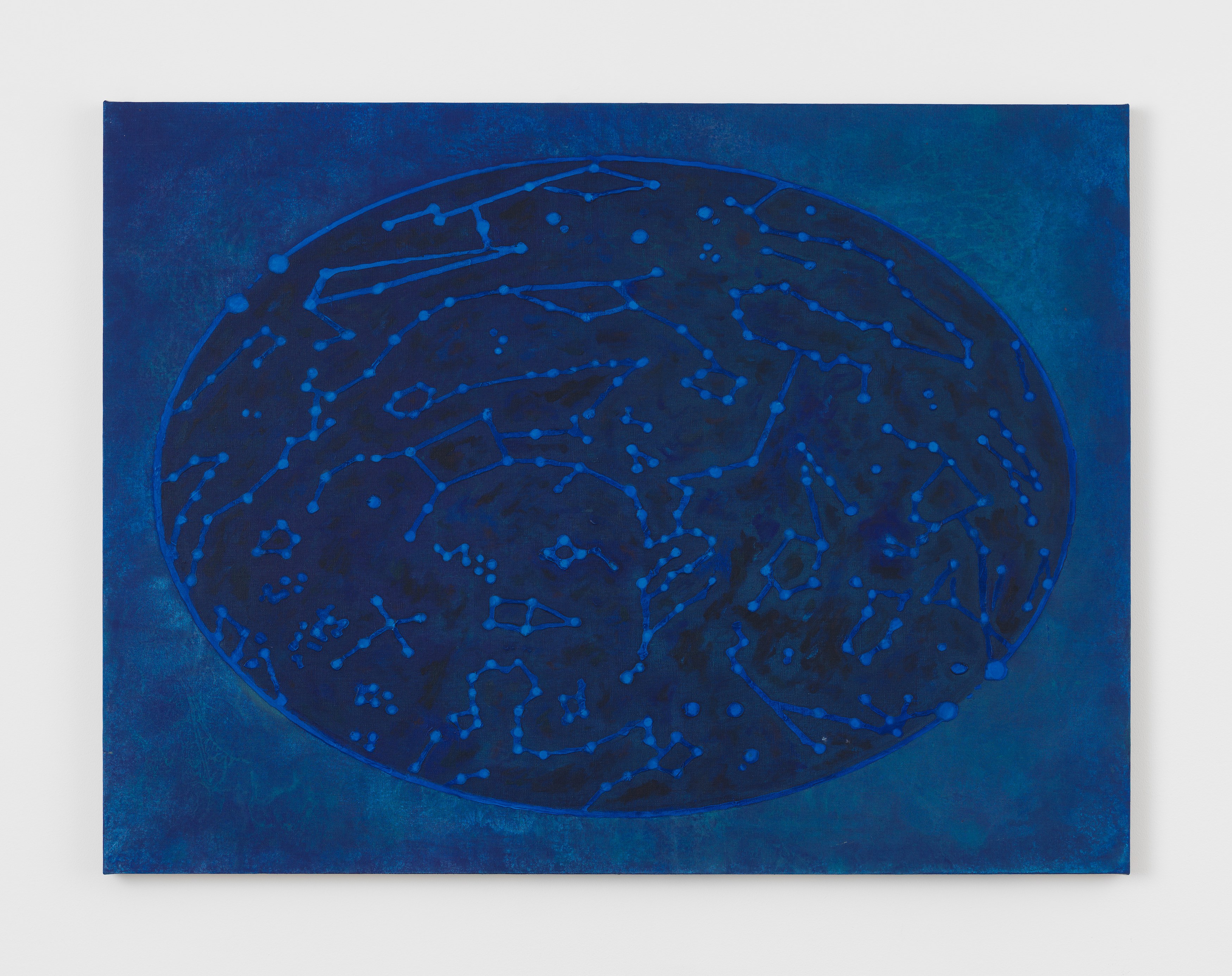 Zach Bruder, Customary at Magenta Plains, photo 11