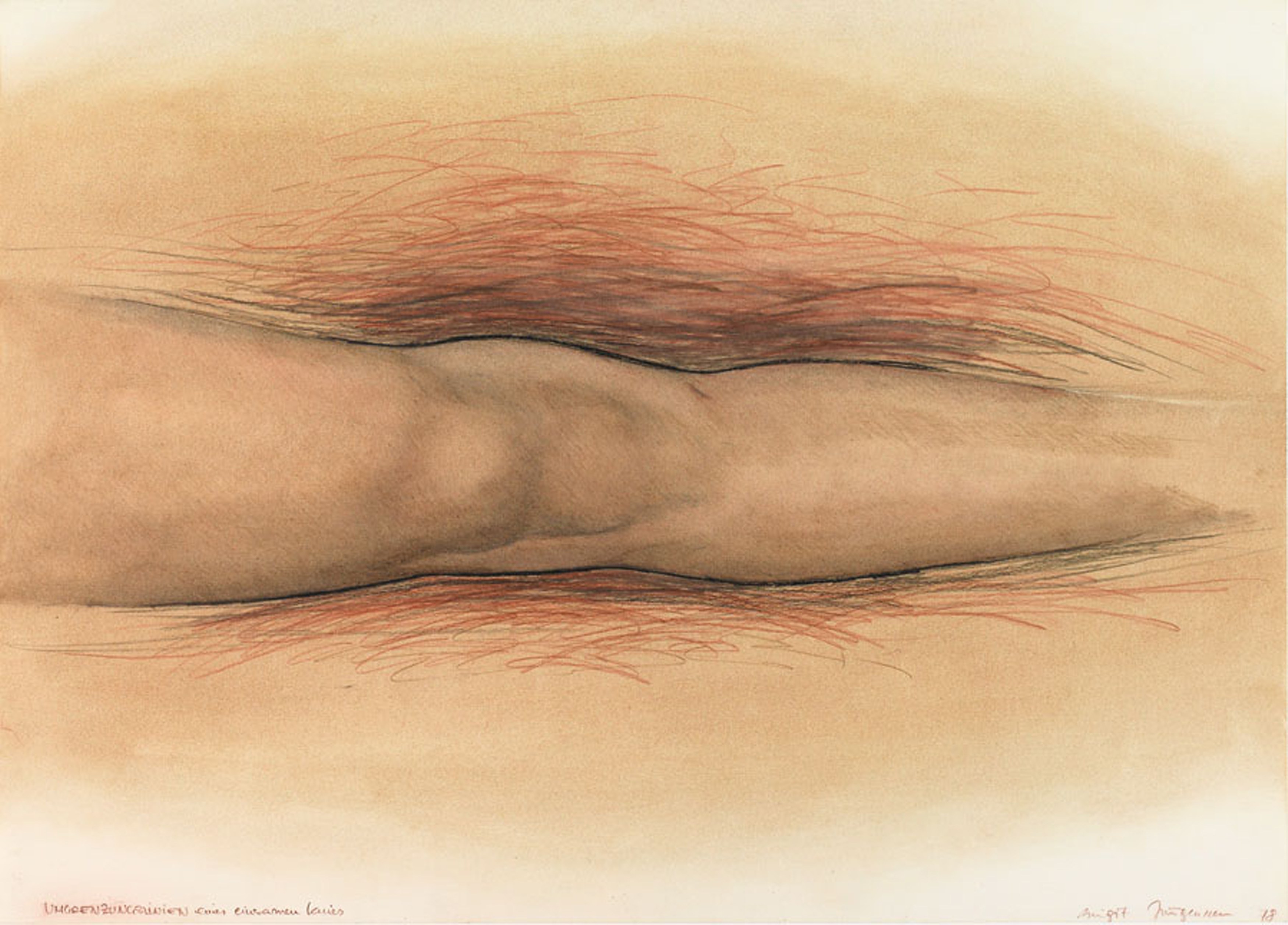 Birgit Jürgenssen, Noelia Towers, Untitled at Slip House, photo 10