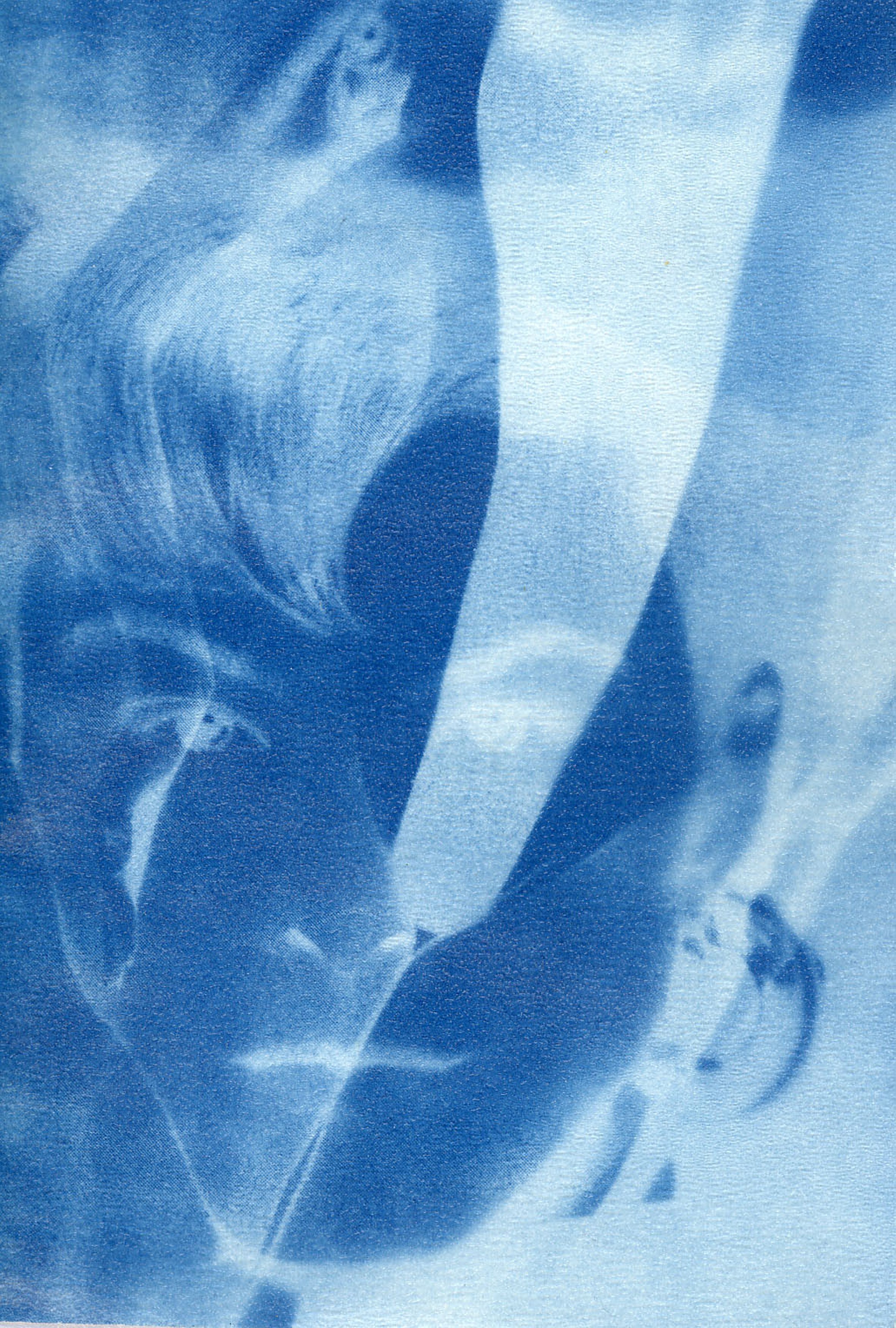 Birgit Jürgenssen, Noelia Towers, Untitled at Slip House, photo 12