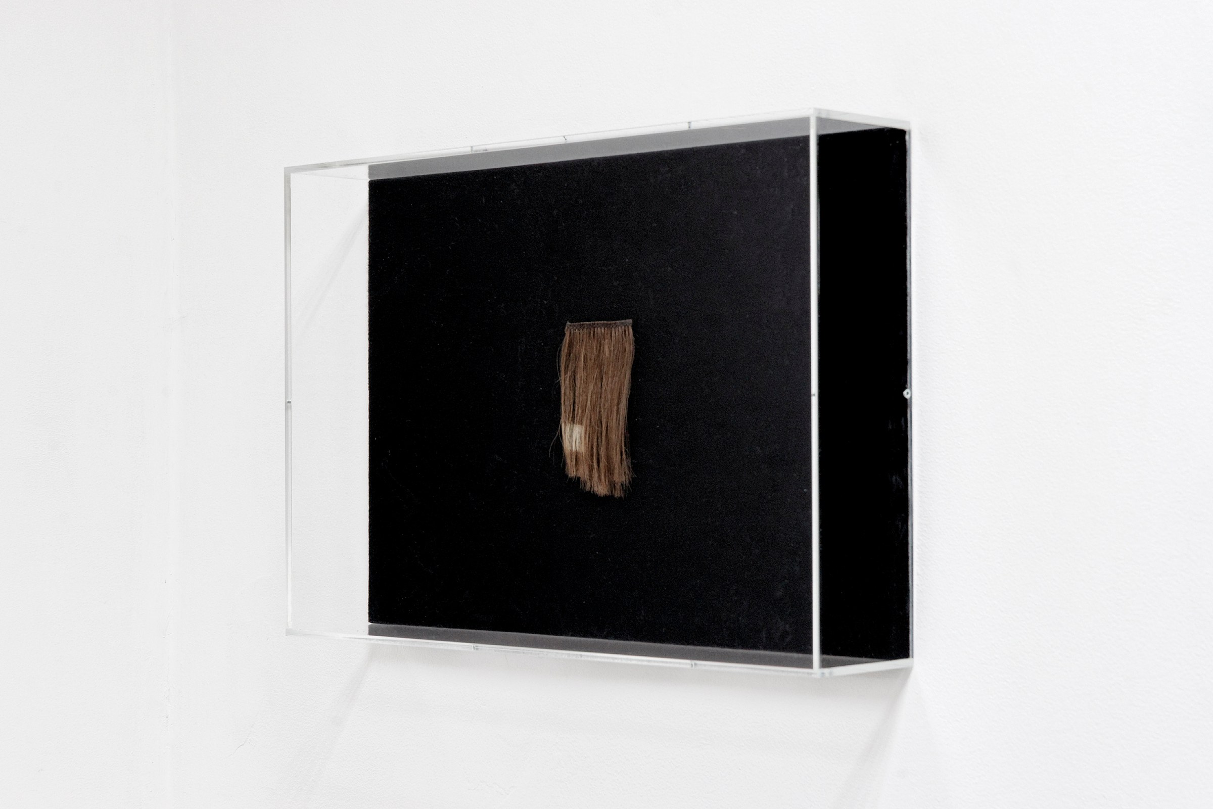 Tobias Kaspar, Life and Lies at Marcelle Alix, photo 13