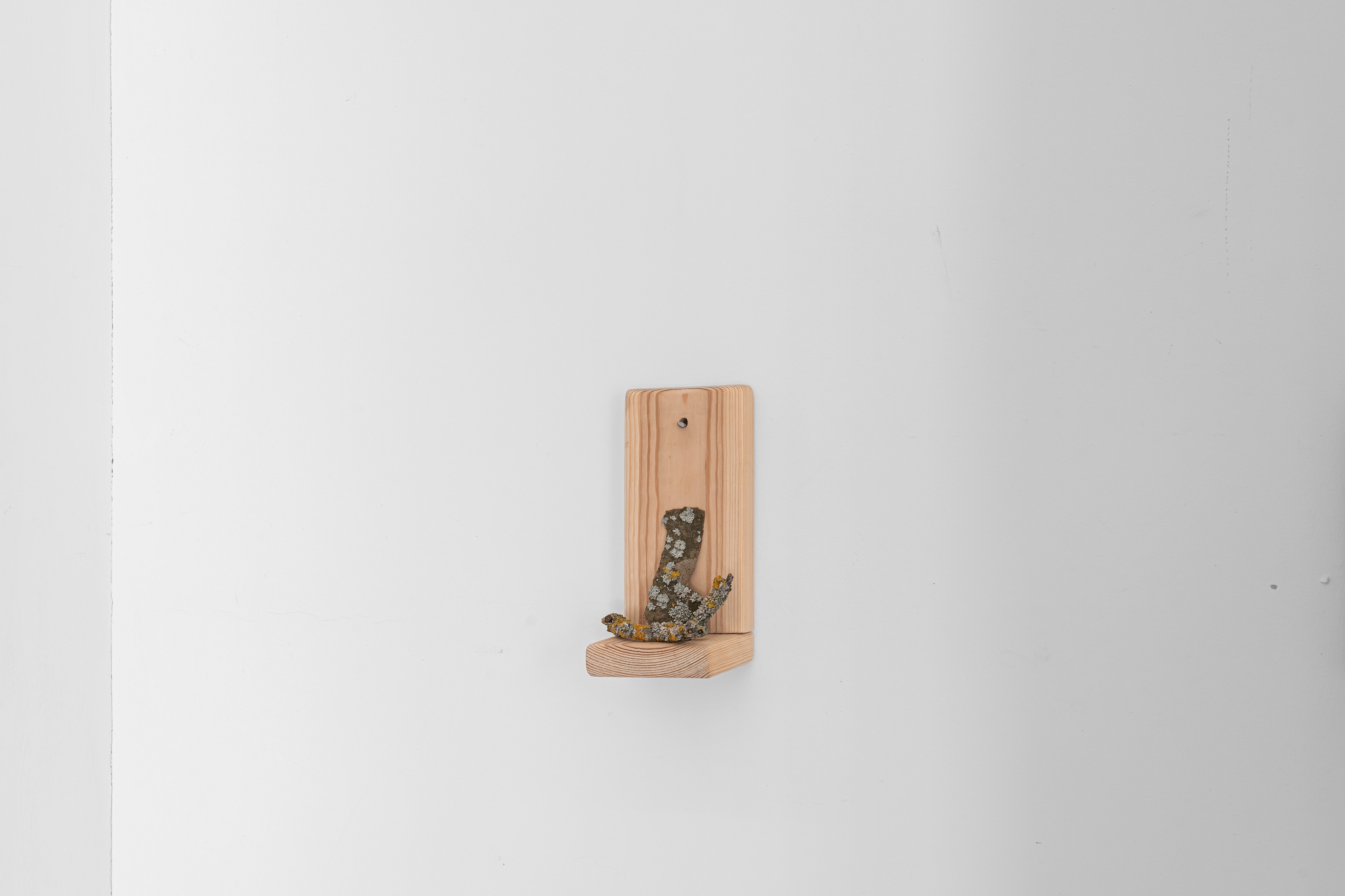 Sebastián Espejo, image 25 of 26