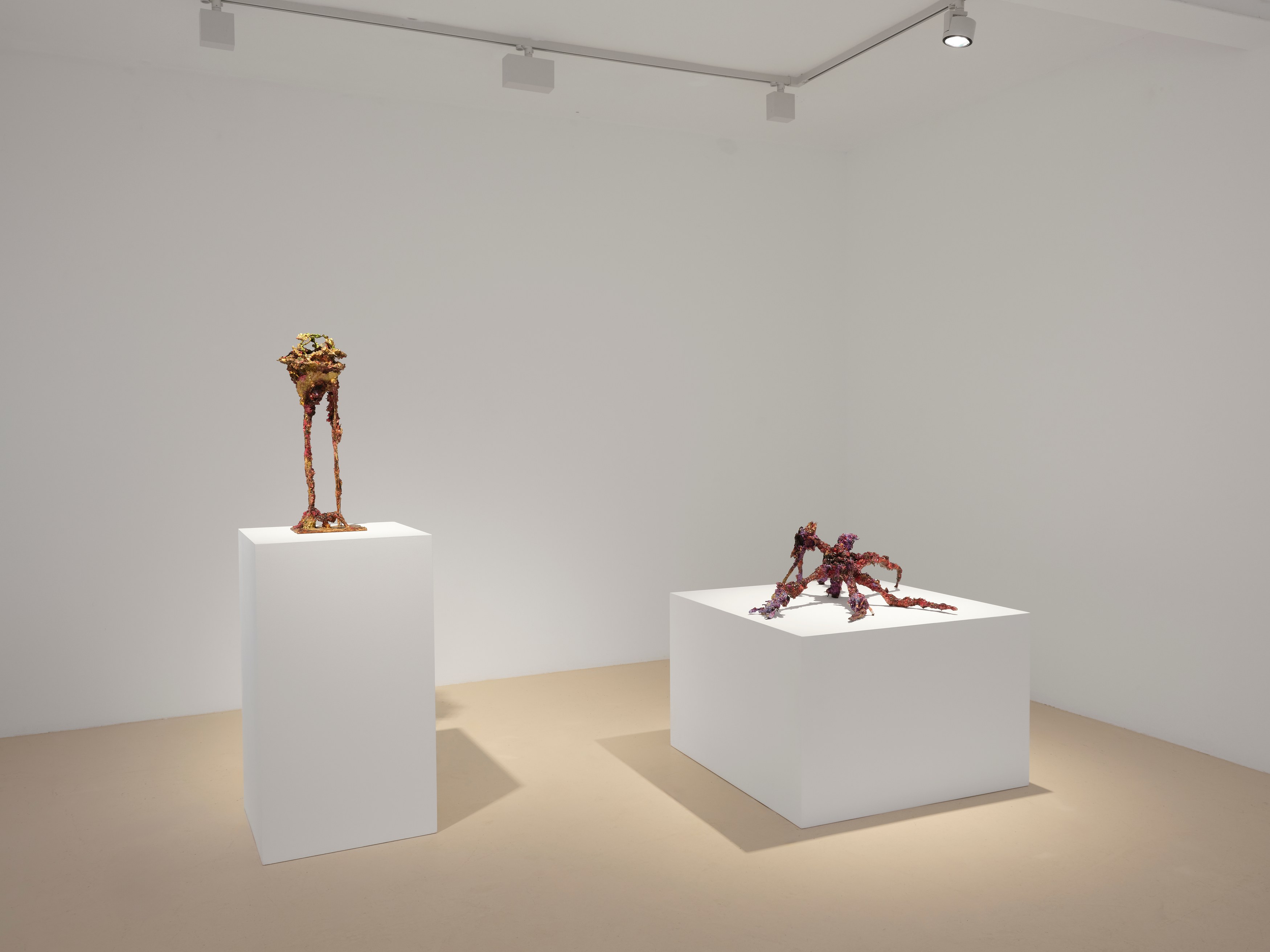 Laila Muraywid, image 3 of 27