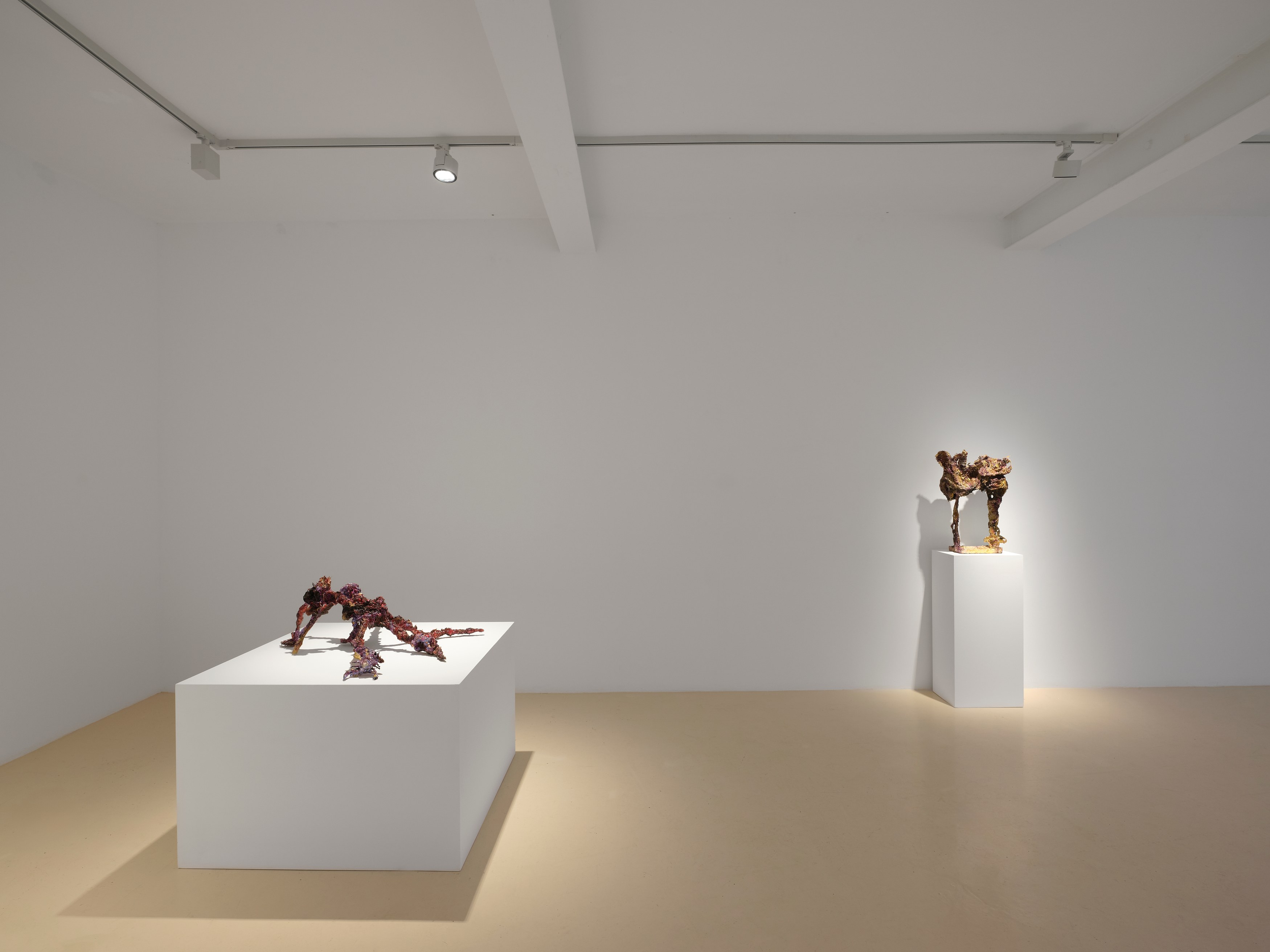 Laila Muraywid, image 6 of 27