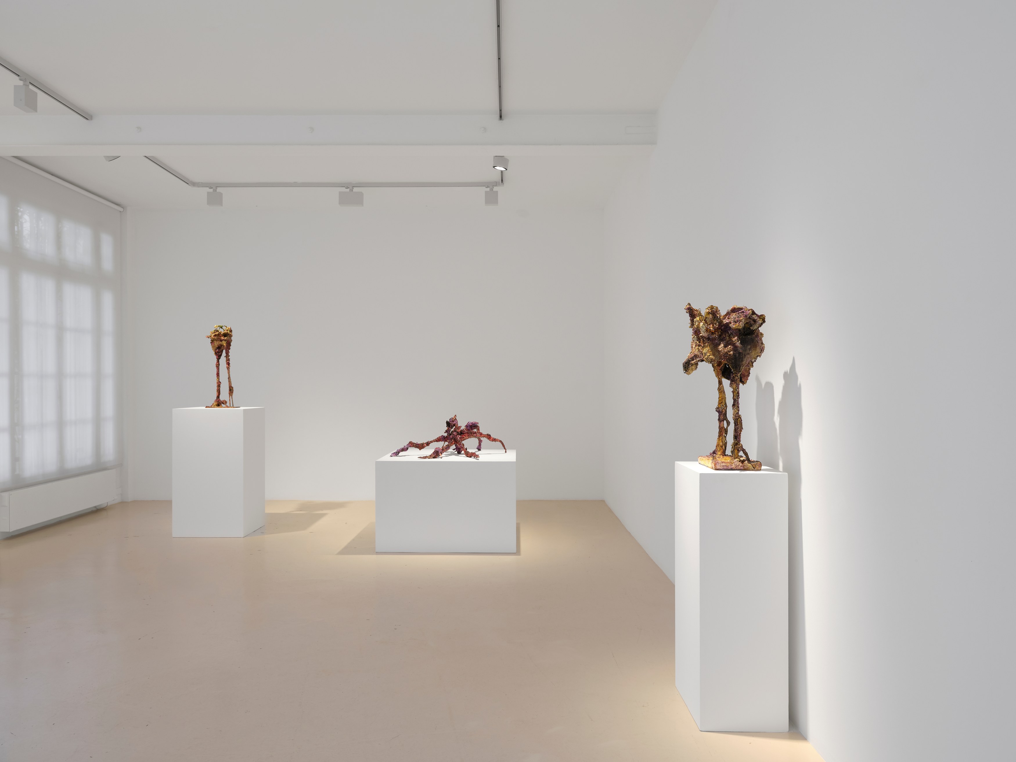 Laila Muraywid, image 19 of 27