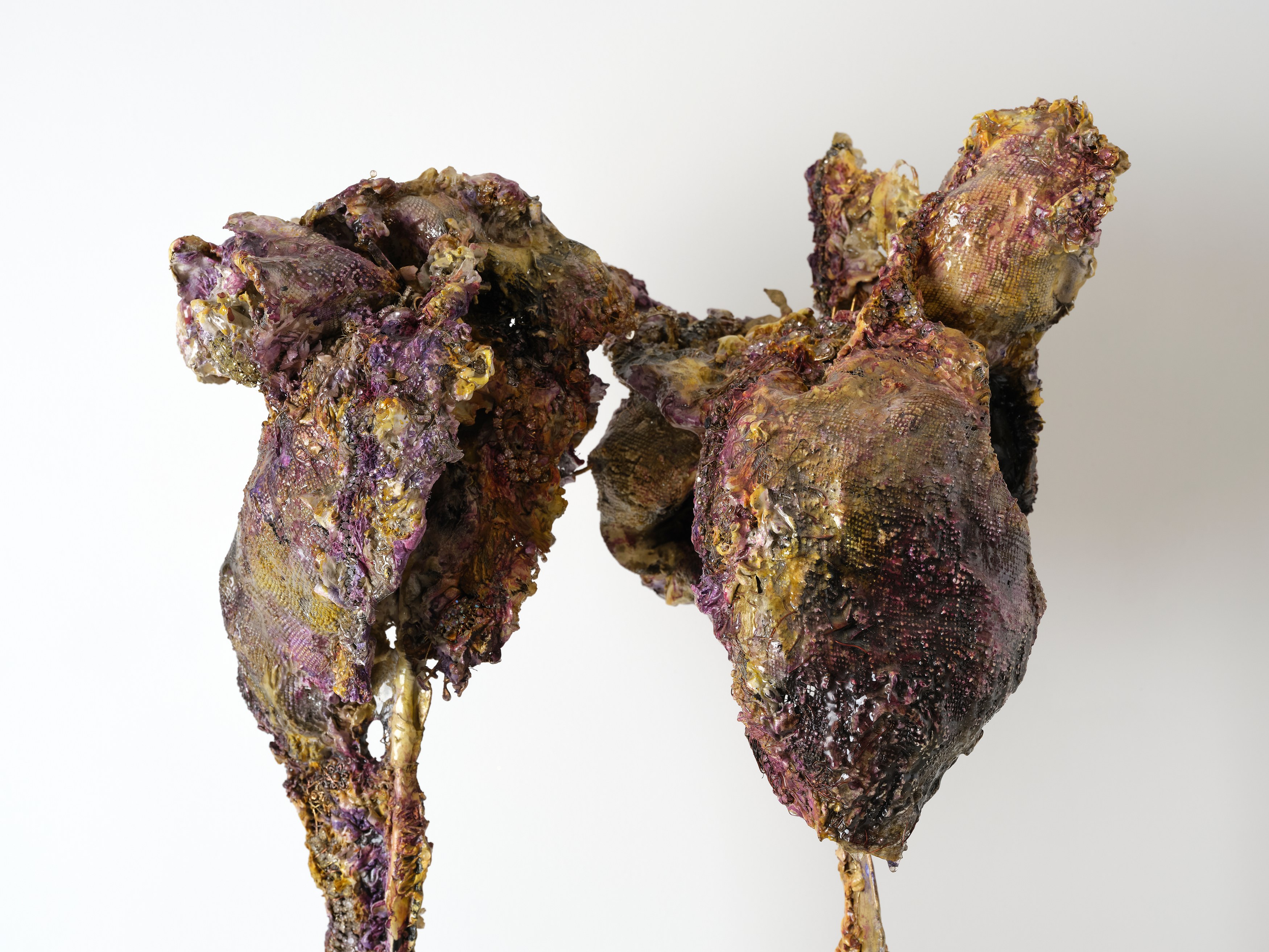 Laila Muraywid, image 24 of 27