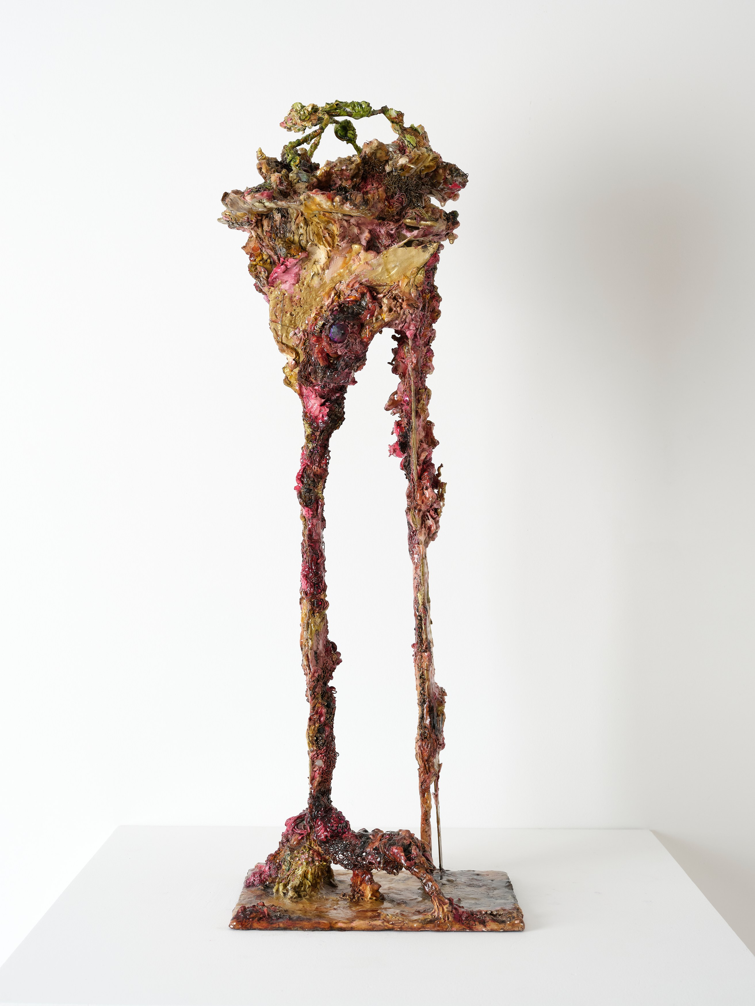 Laila Muraywid, image 25 of 27