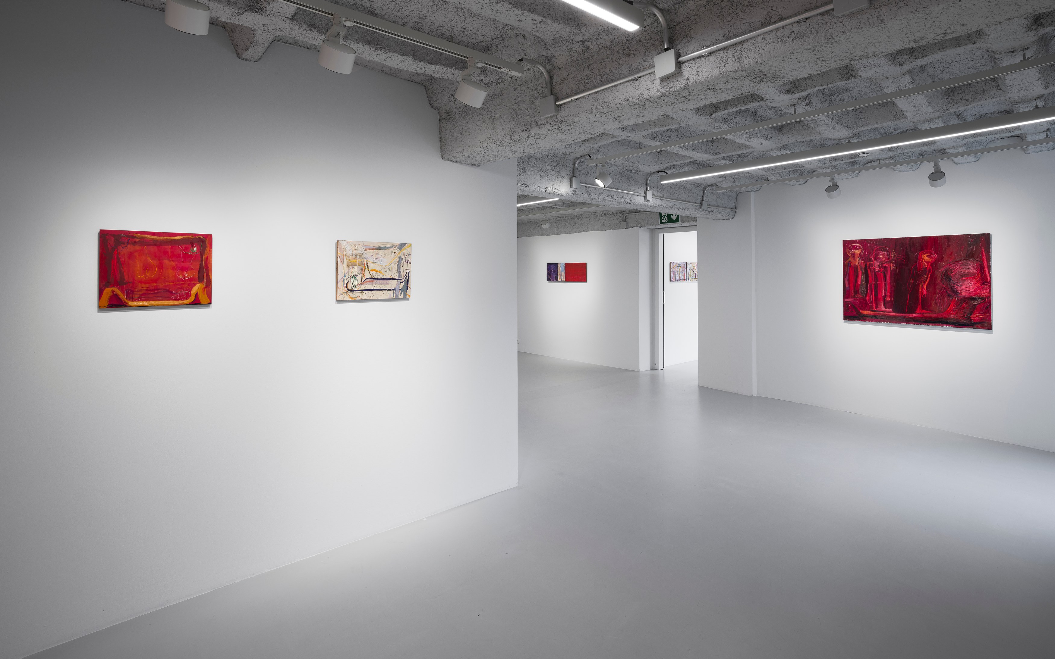 Tincuta Marin, Gloaming at Galeria Plan B, photo 12