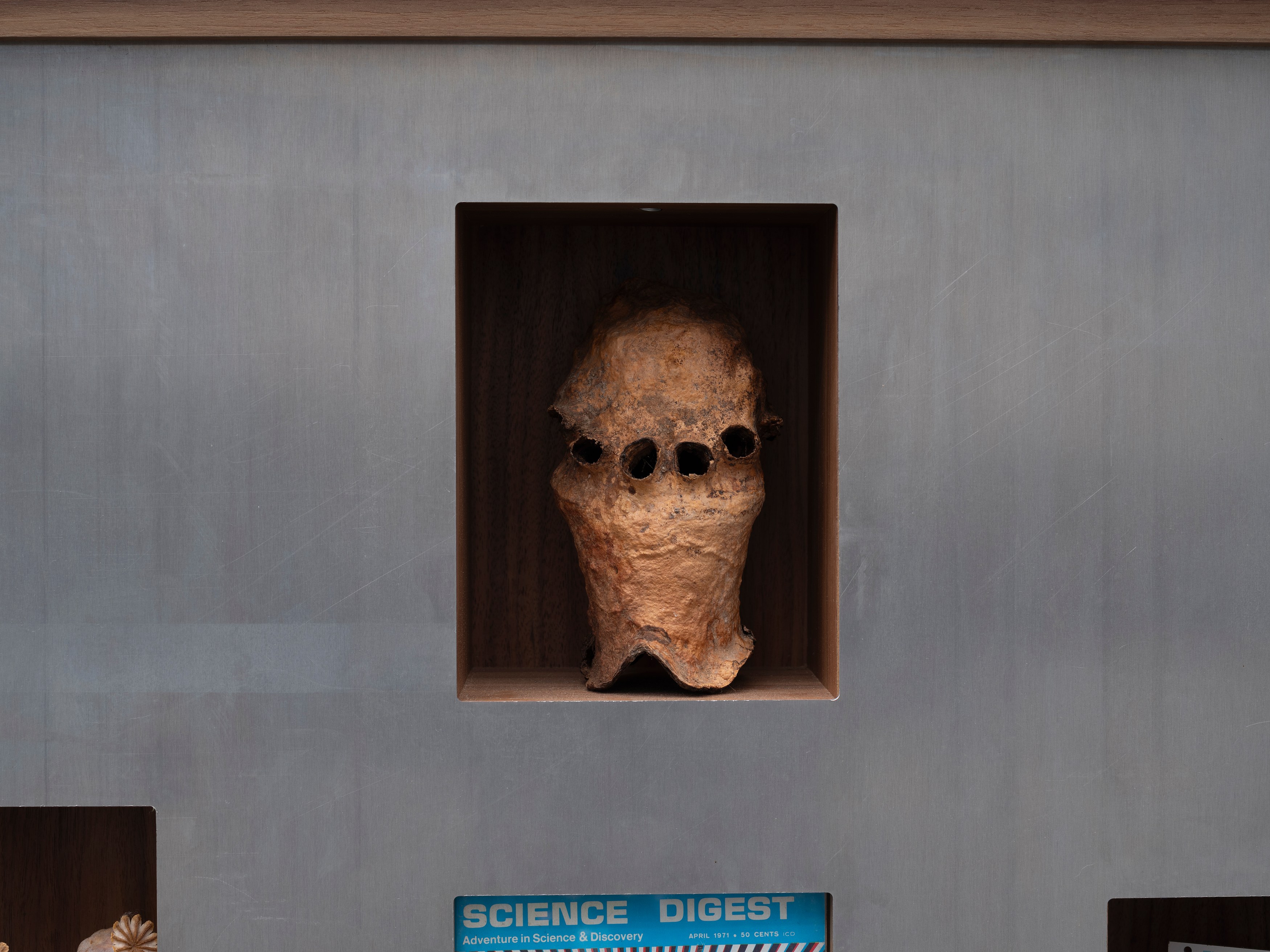 Scott Benzel, image 42 of 48