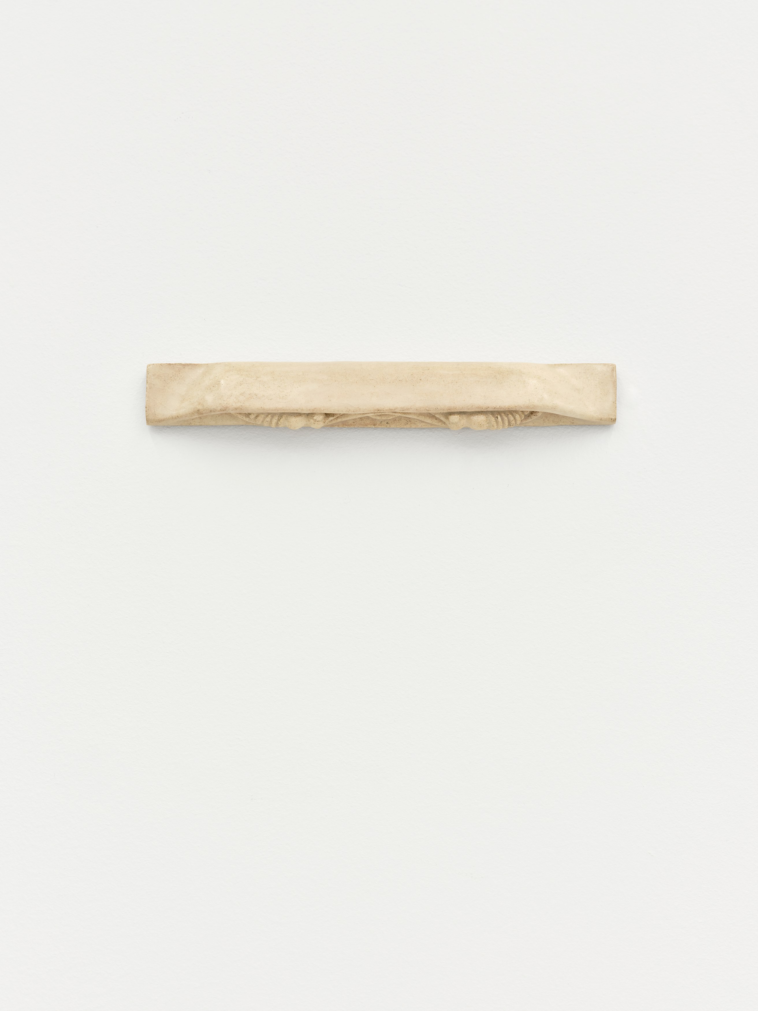 Xolo Cuintle, image 5 of 25