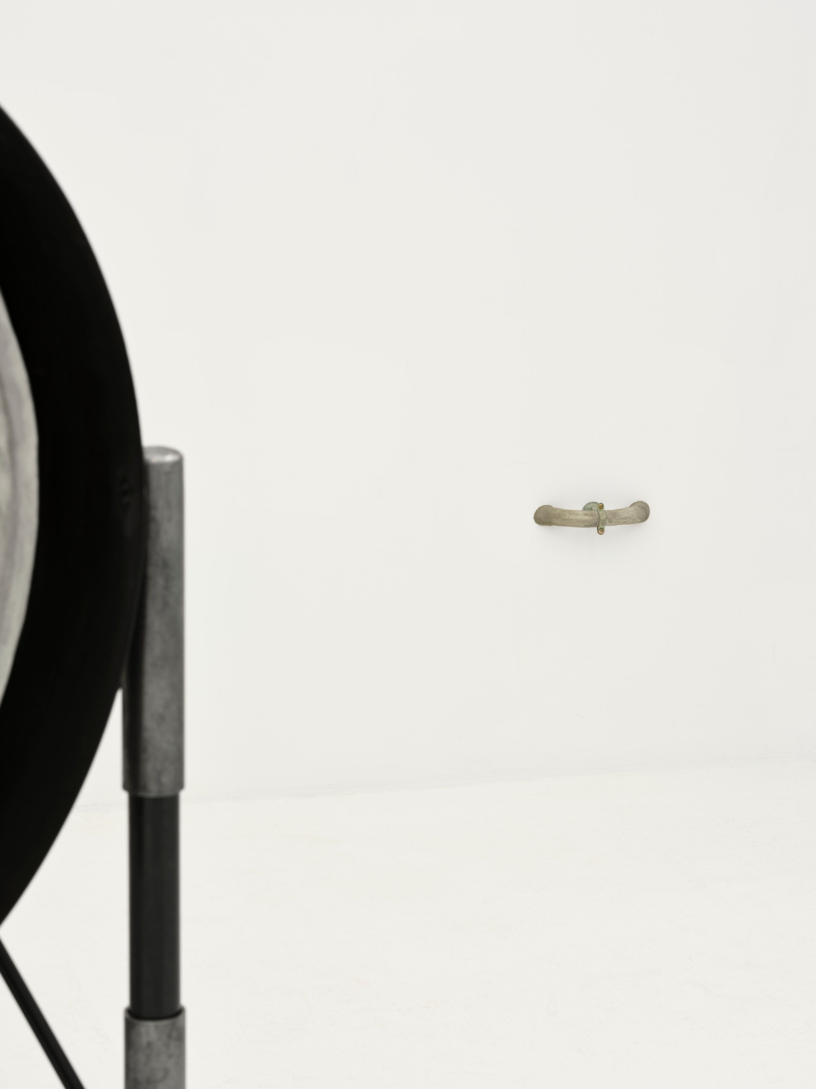 Xolo Cuintle, image 11 of 25