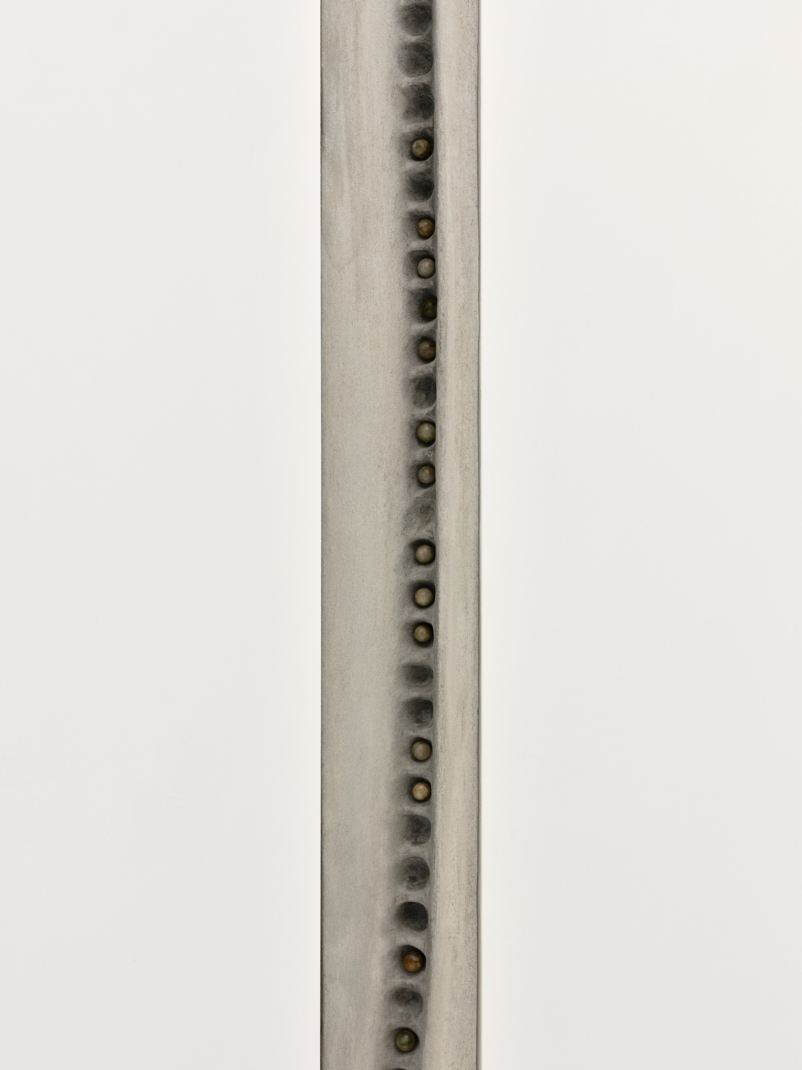 Xolo Cuintle, image 22 of 25