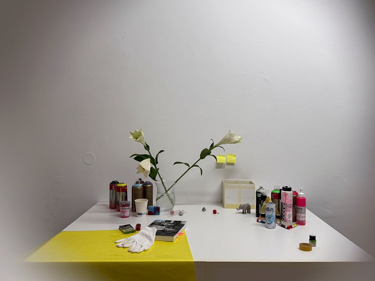 Haiqing Wang | Contemporary Art Library