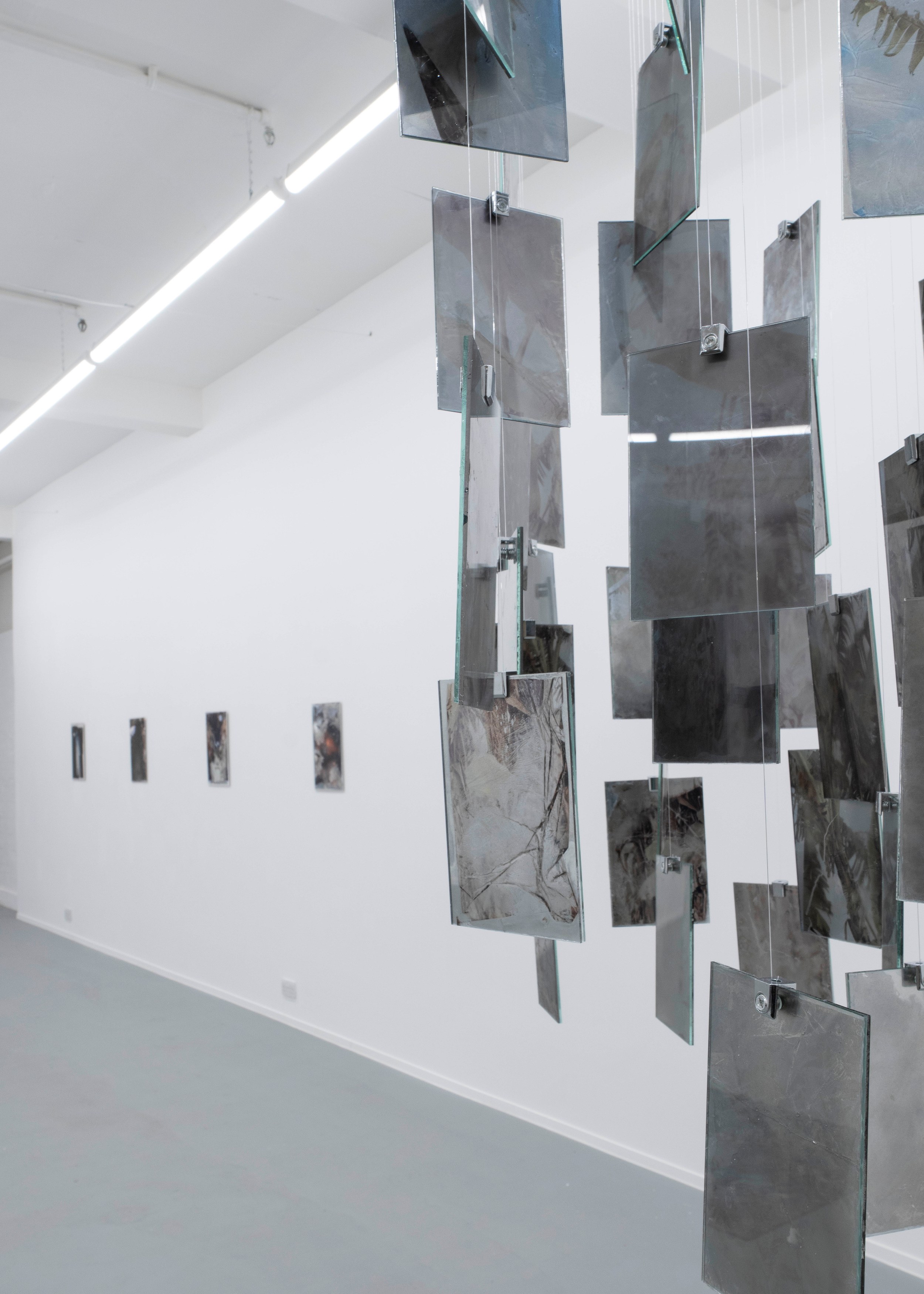 Léonard Pongo, Apophenia at Project Loop, photo 2