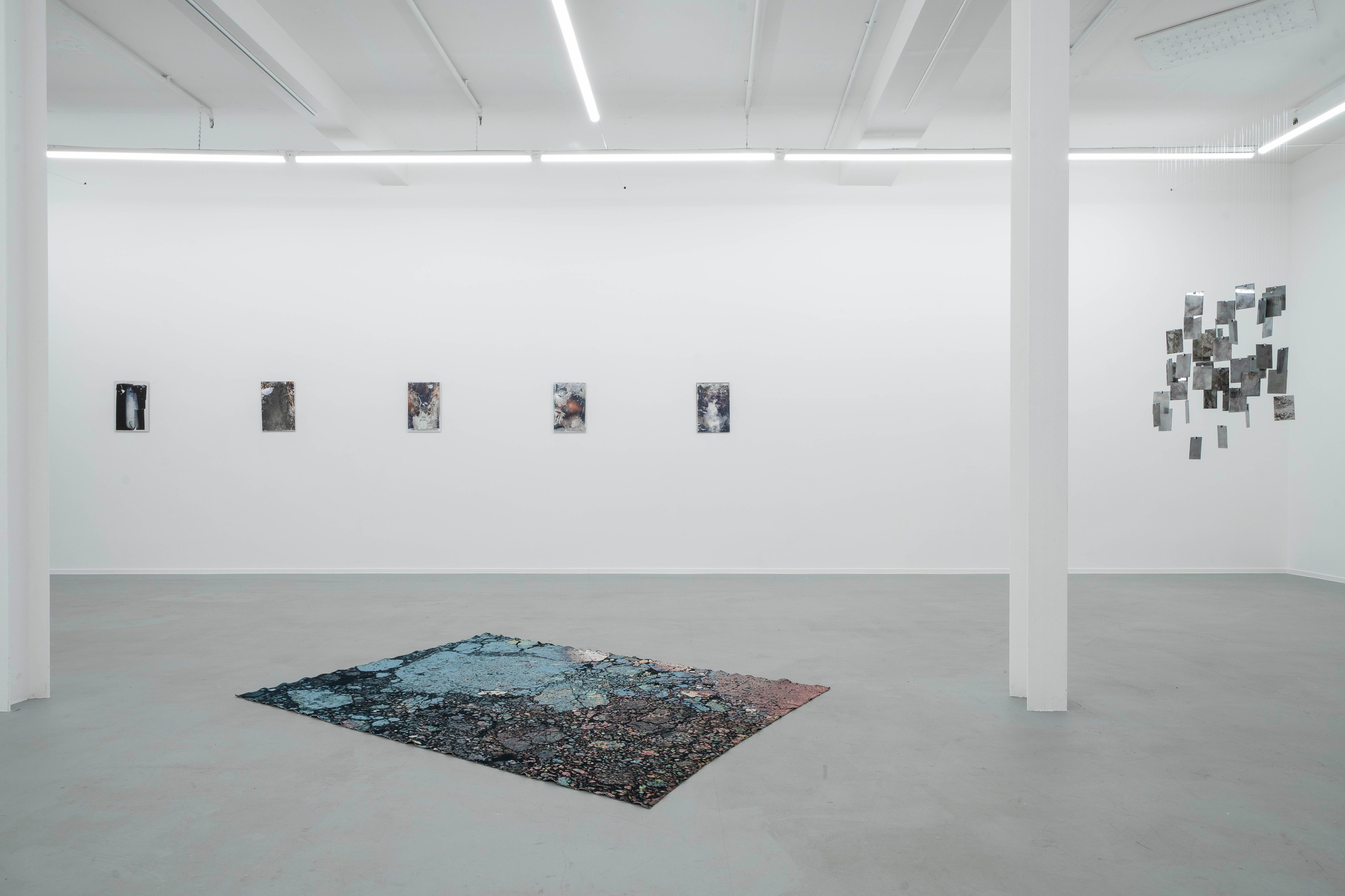 Léonard Pongo, Apophenia at Project Loop, photo 3