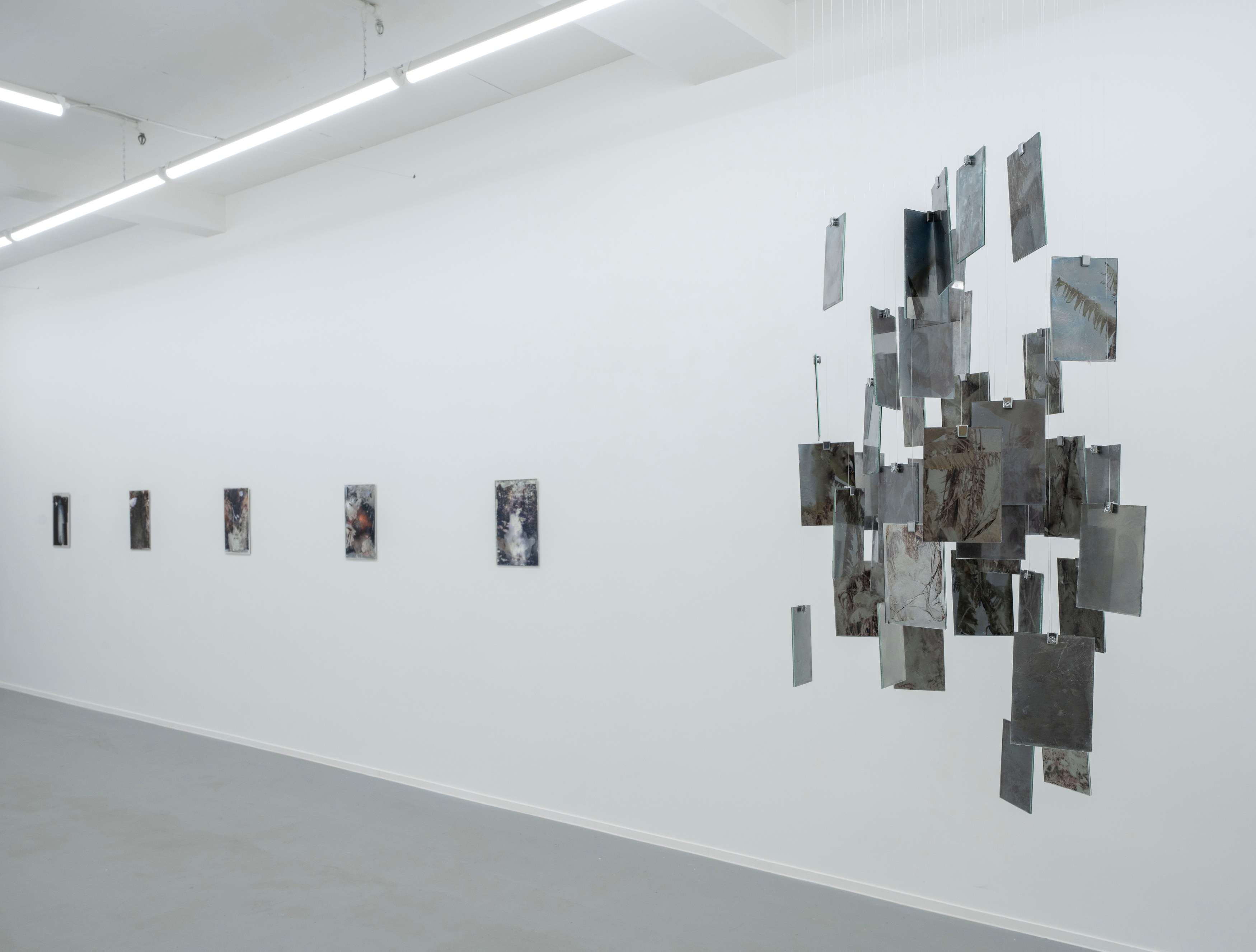 Léonard Pongo, Apophenia at Project Loop, photo 8