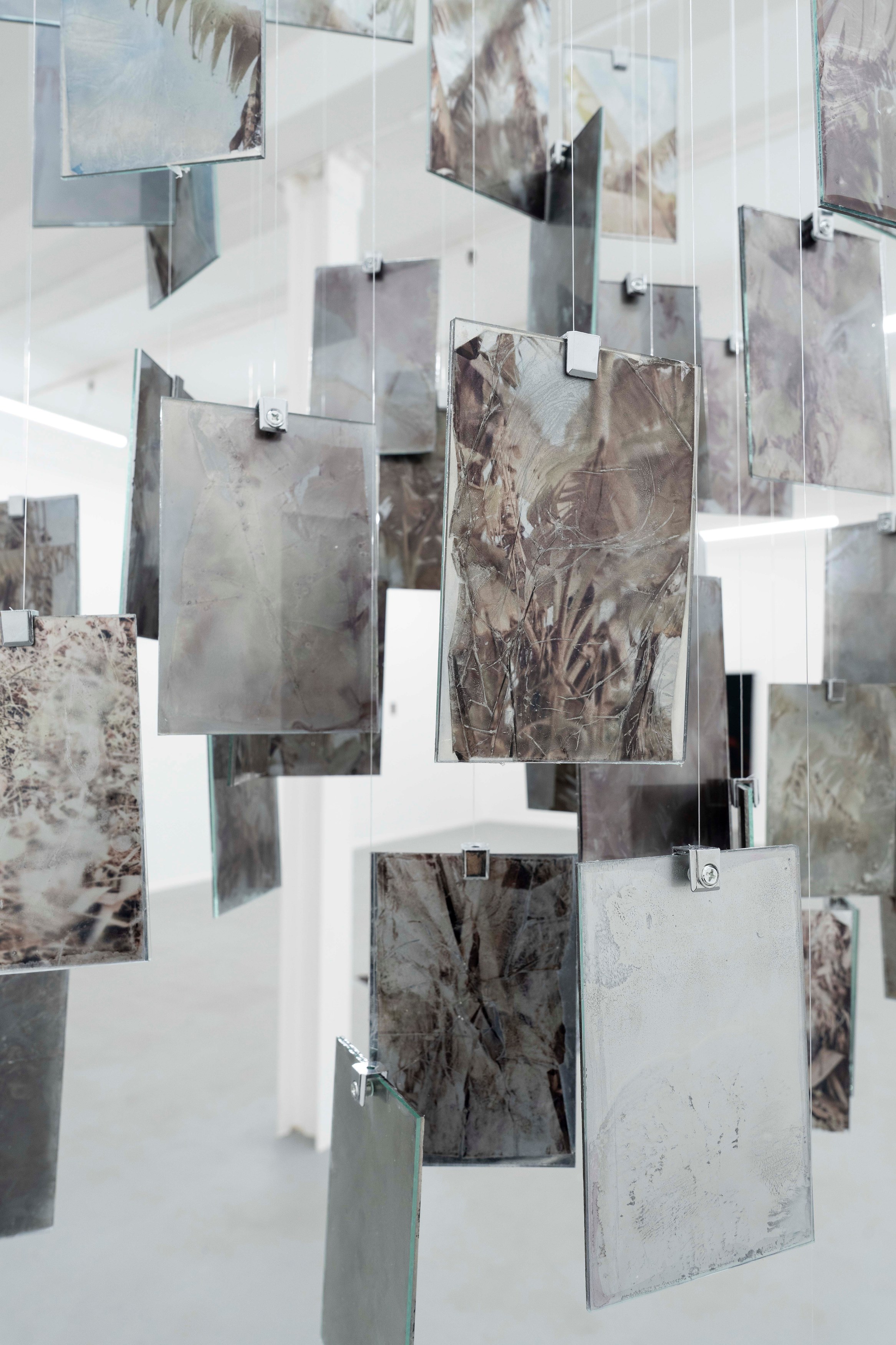 Léonard Pongo, Apophenia at Project Loop, photo 13