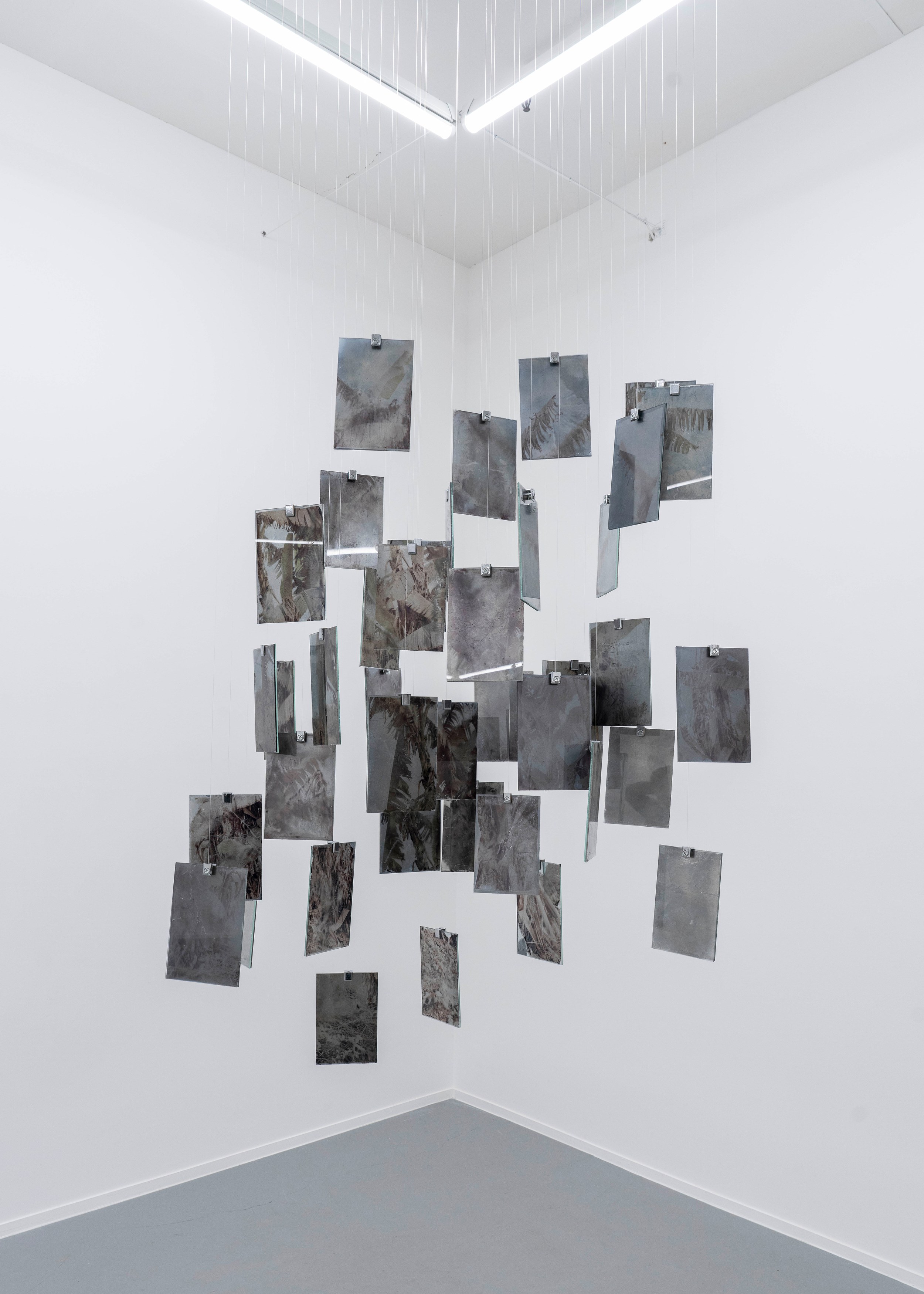 Léonard Pongo, Apophenia at Project Loop, photo 11
