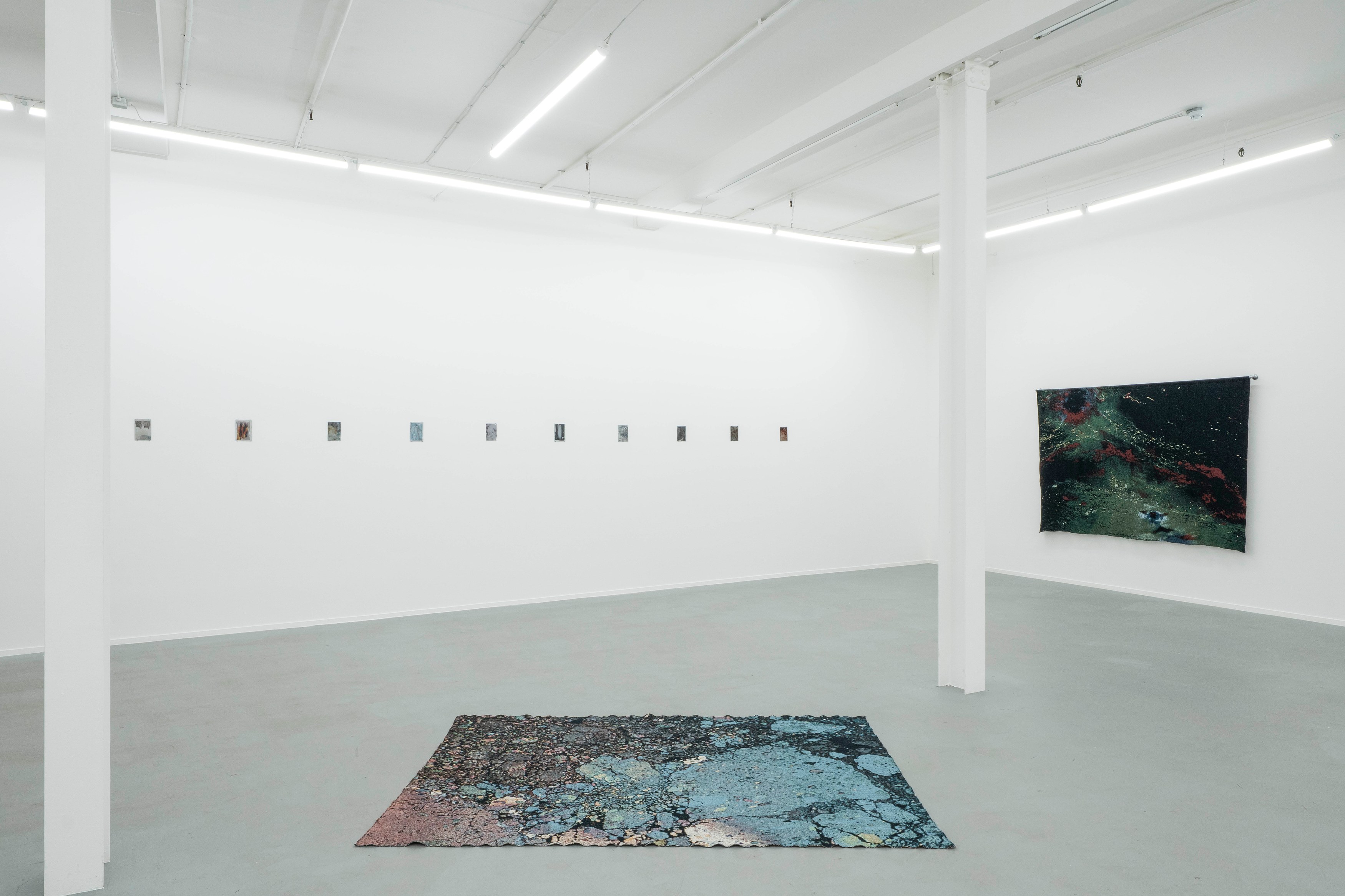 Léonard Pongo, Apophenia at Project Loop, photo 5