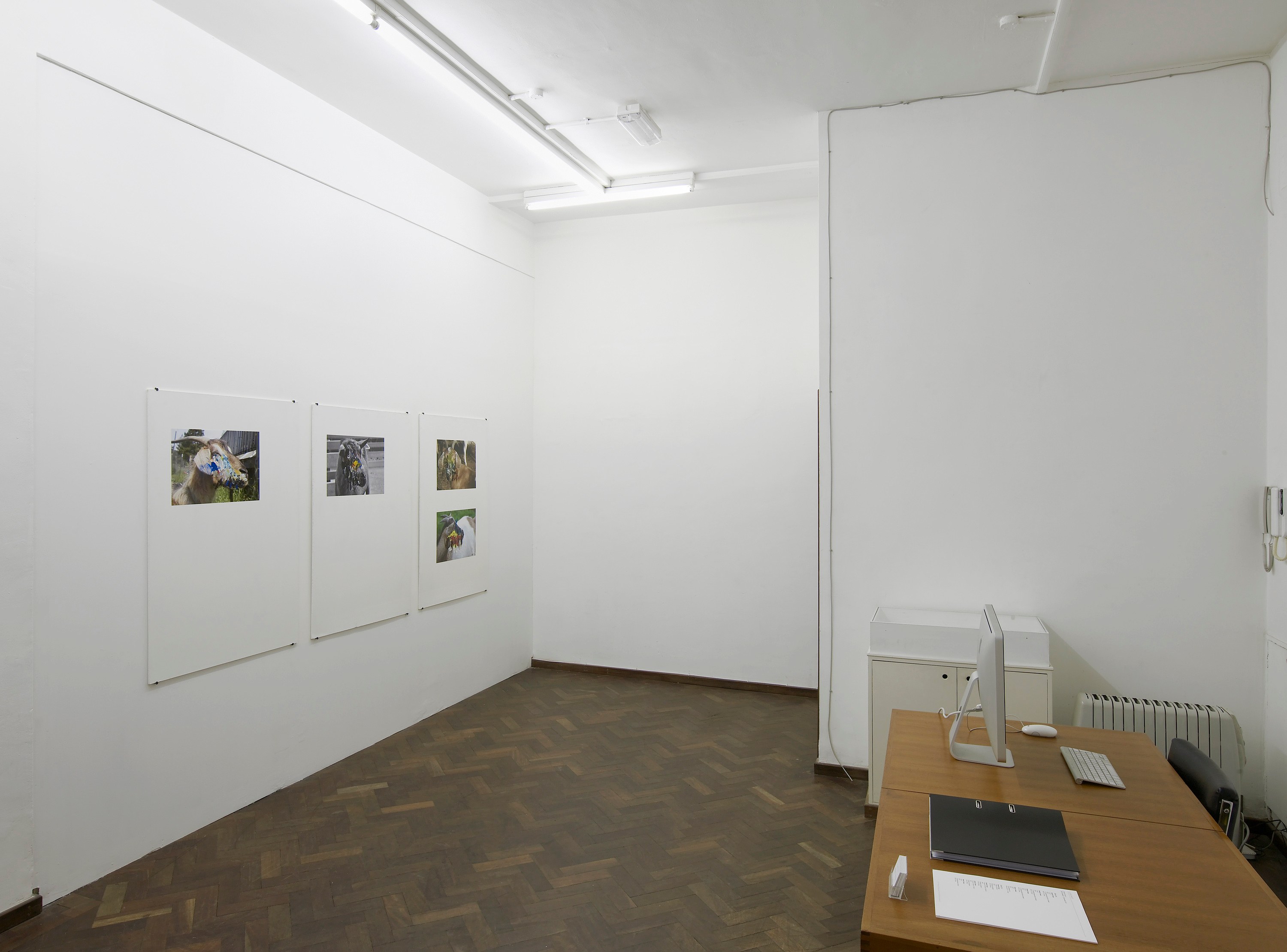 Henrik Olesen, Untitled at Cabinet, photo 2